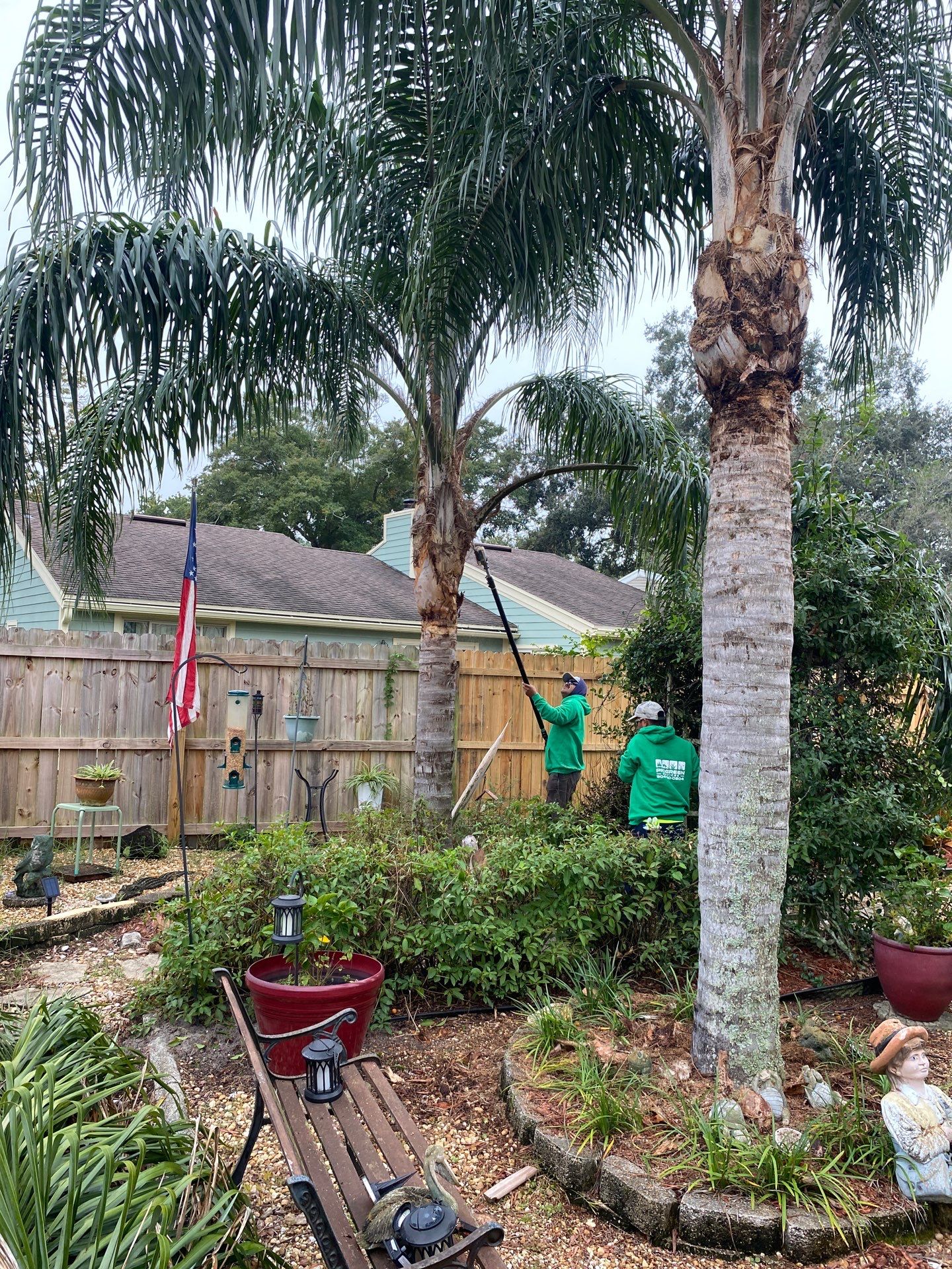 Tree Trimming | Residential by ProGreen Services