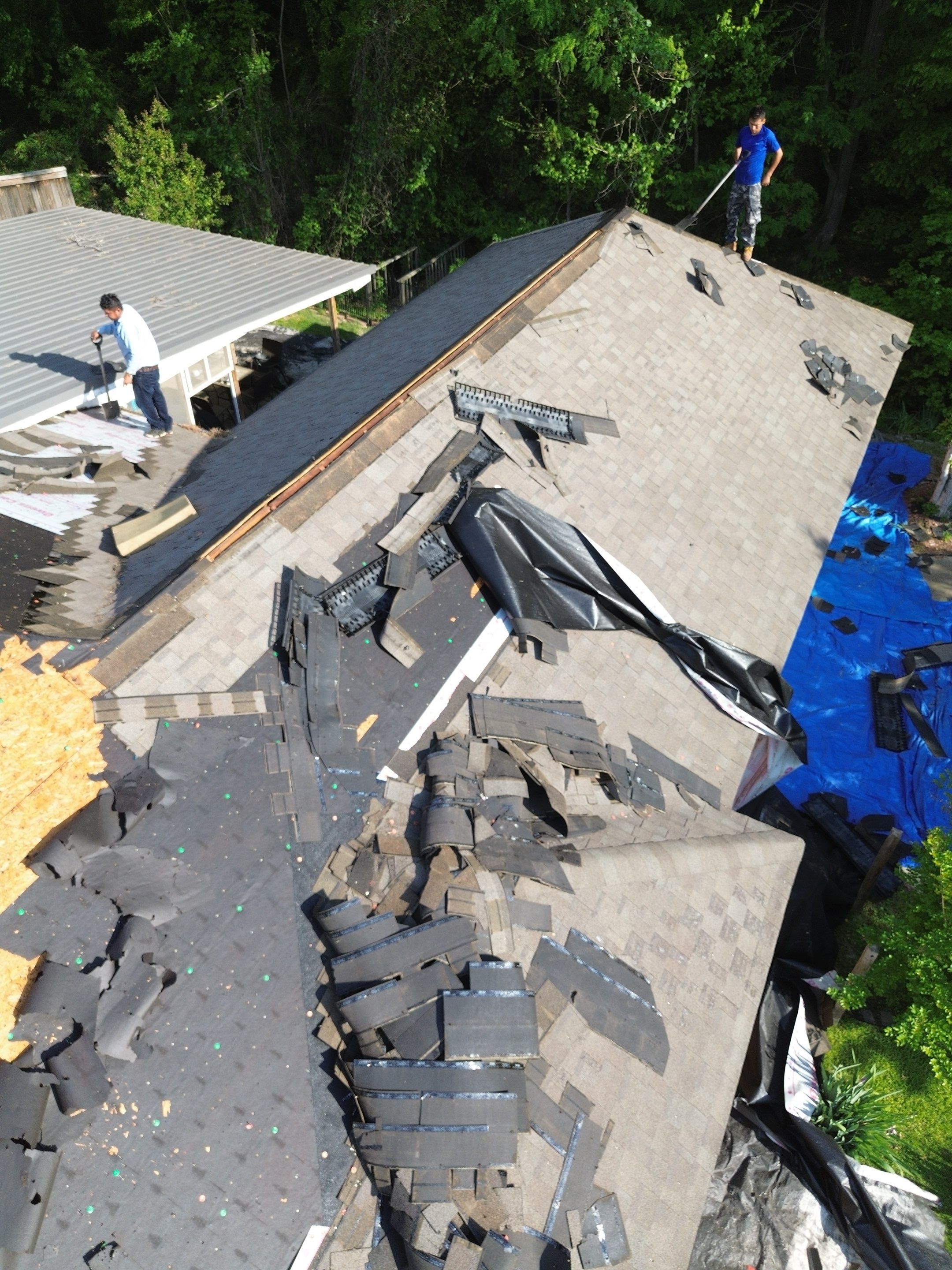 Residential Roofing Installation using Atlas Pinnacle Pristine by MS Premier Roofing & Remodel