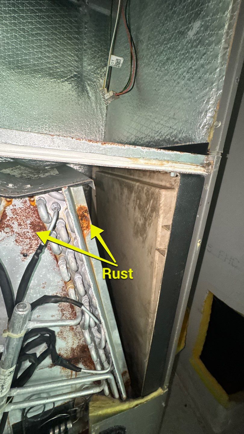 Air Duct and Dryer Vent Cleaning in Orlando by Hygienic Air, Inc