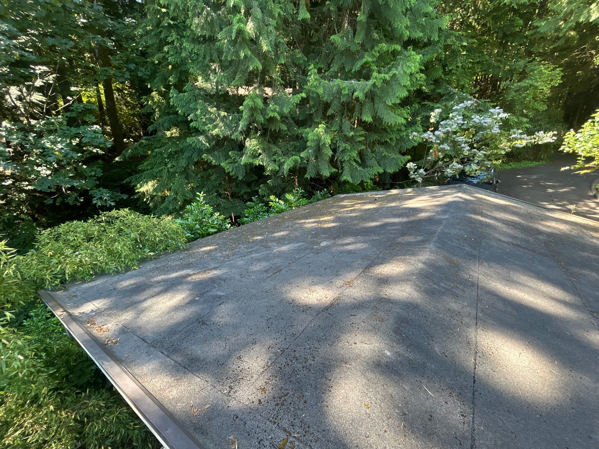 Project in Seattle by Peaks and Valleys Construction