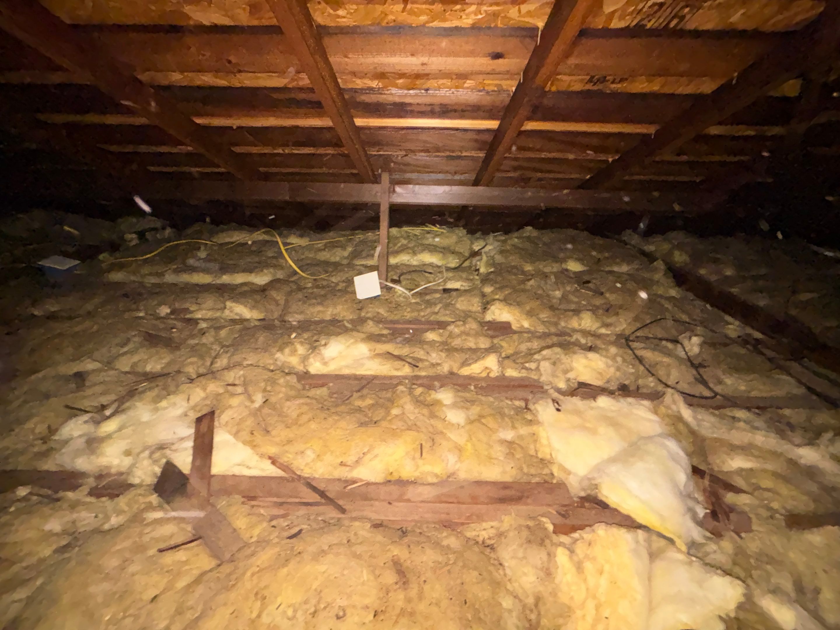 Project in Seal Beach by Insulation Labs