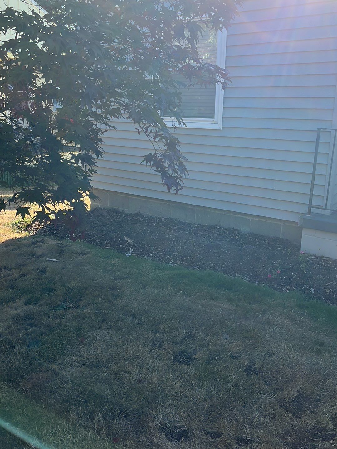 Simple Deck by Alki deck builders 