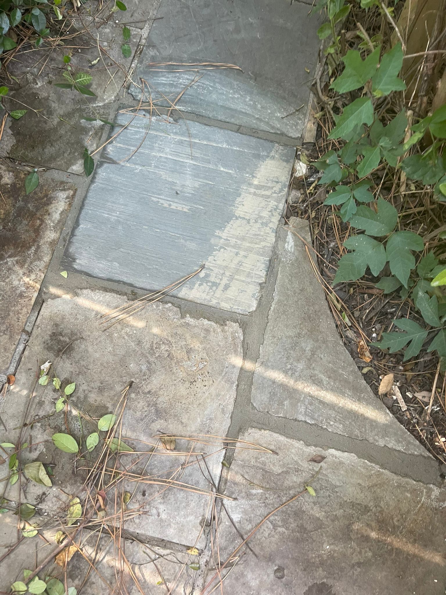 🌿 Project Spotlight: Patio Stone Repair for Linda Pradier by Texas Urban Elements