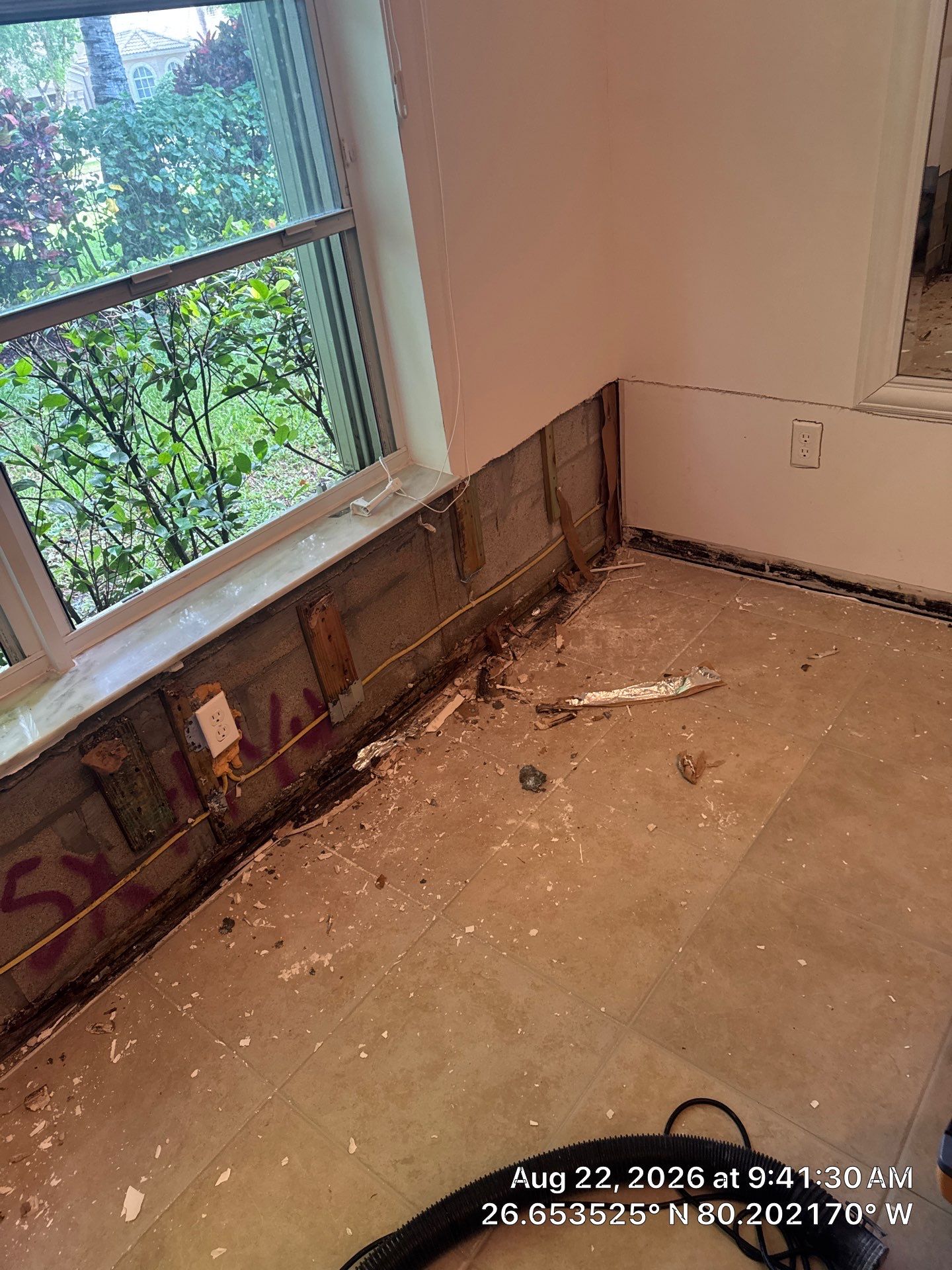 Professional Mold Remediation and Structural Drying in Wellington by SuperClean 