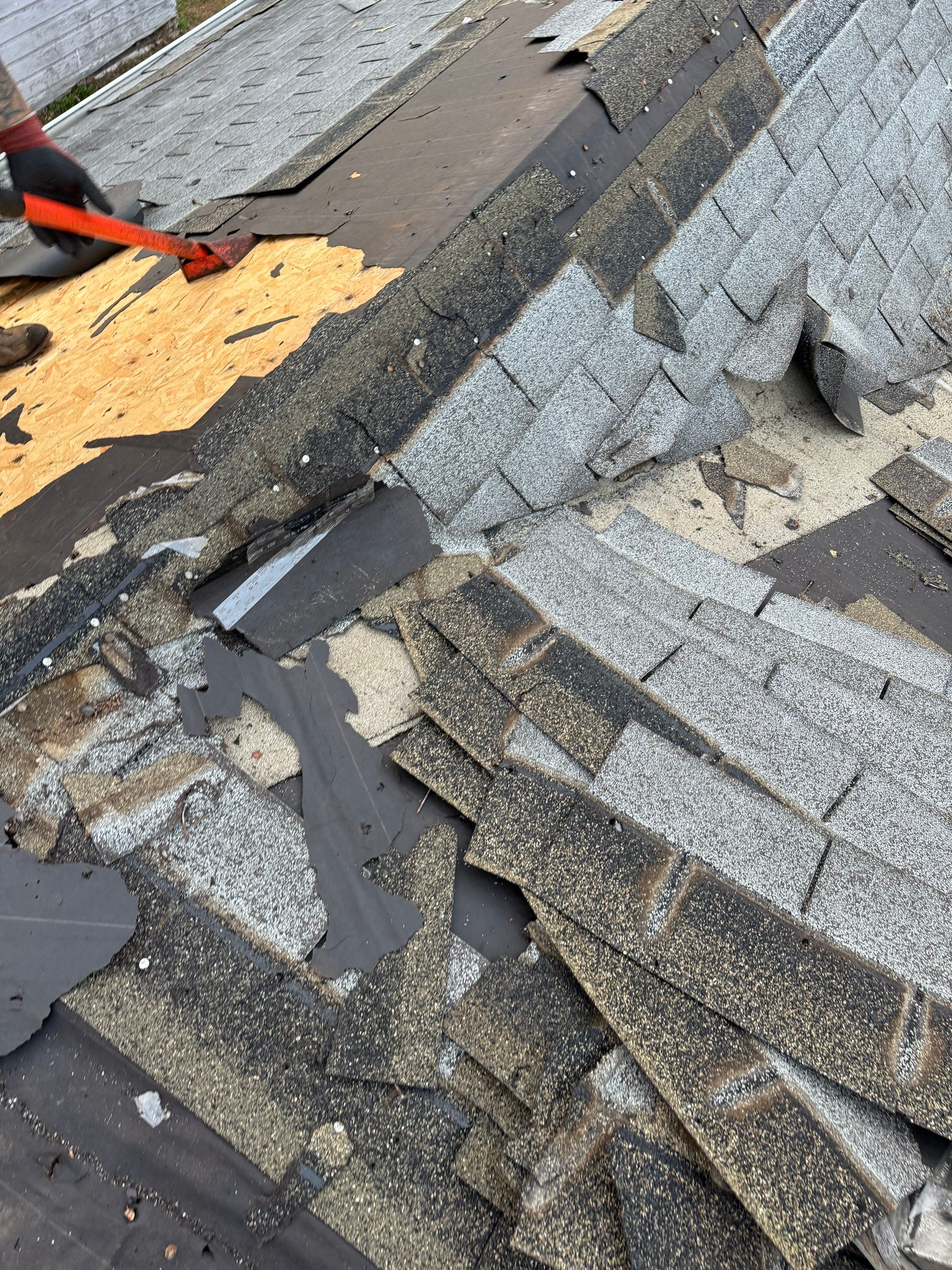 Project in Holland by Serene Construction