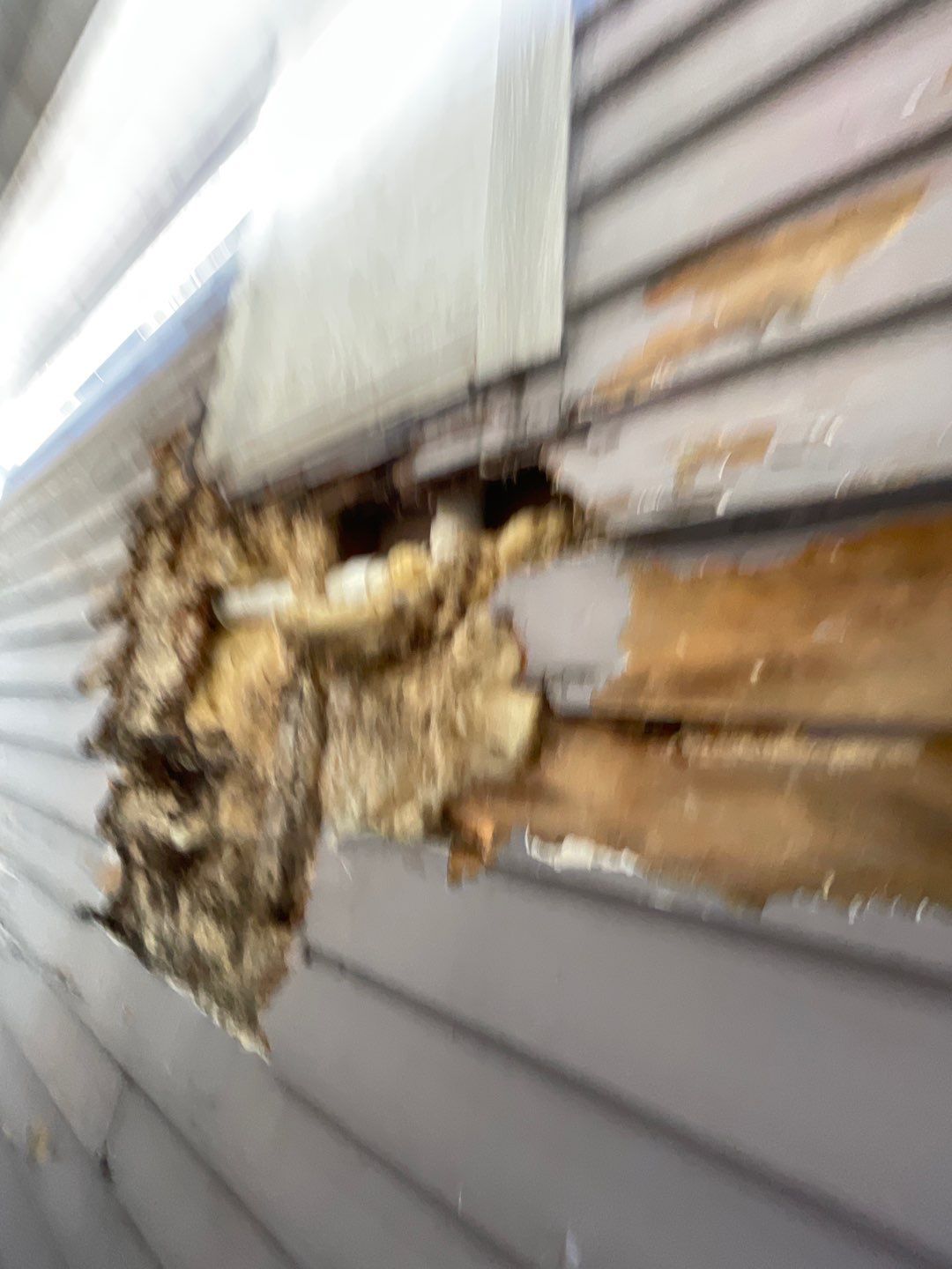 Megna Crew Showcase by Megna Painting