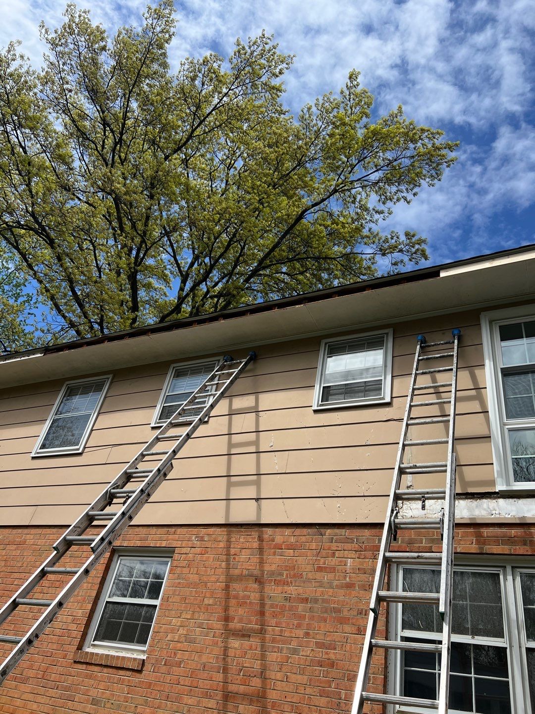 Arlington: Multi-Trade Exterior Remodel by RM Banning, Inc.