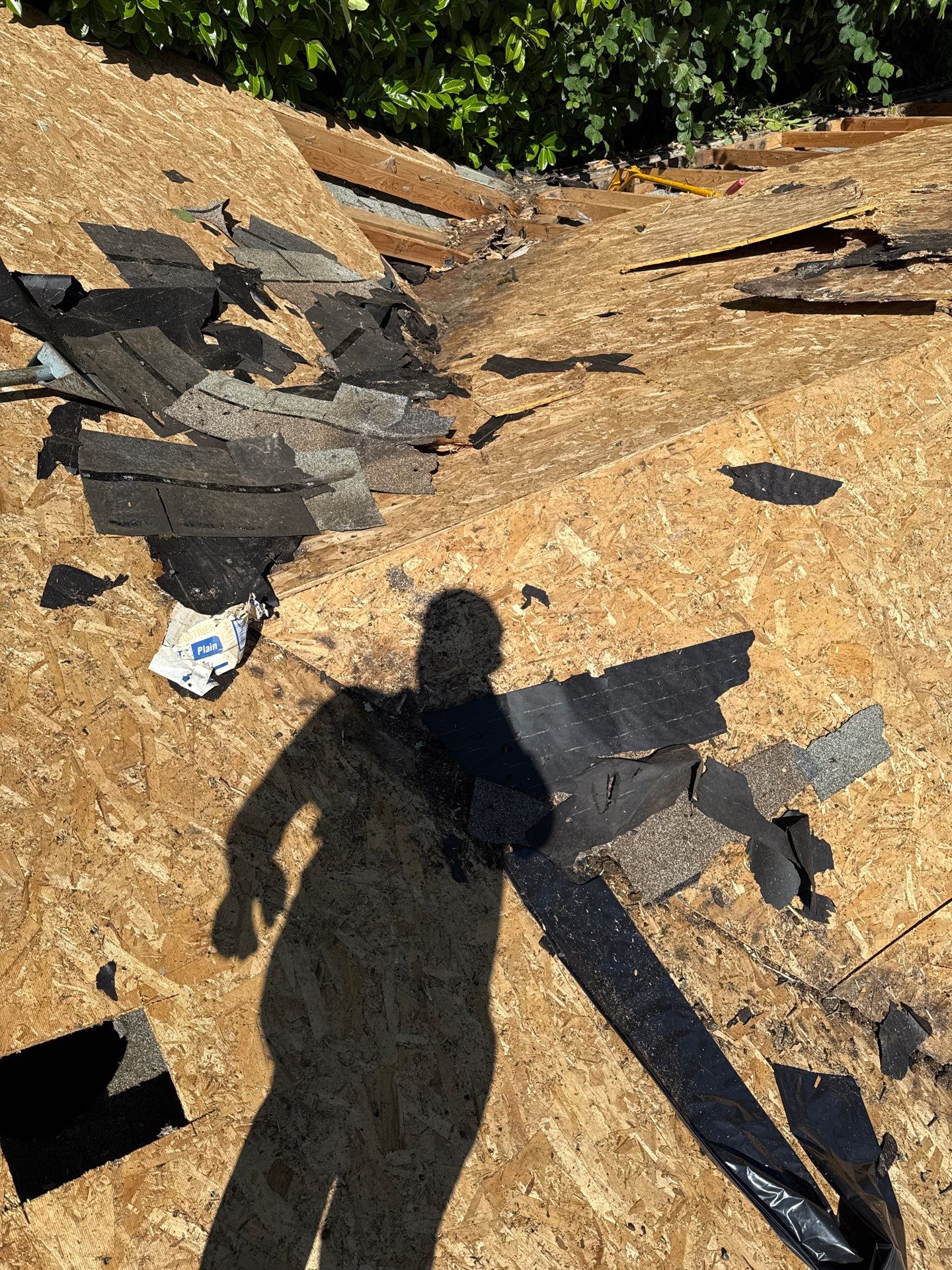 Seatac WA, Roof and Fence Replacement  by Proline Roofing & Restoration LLC