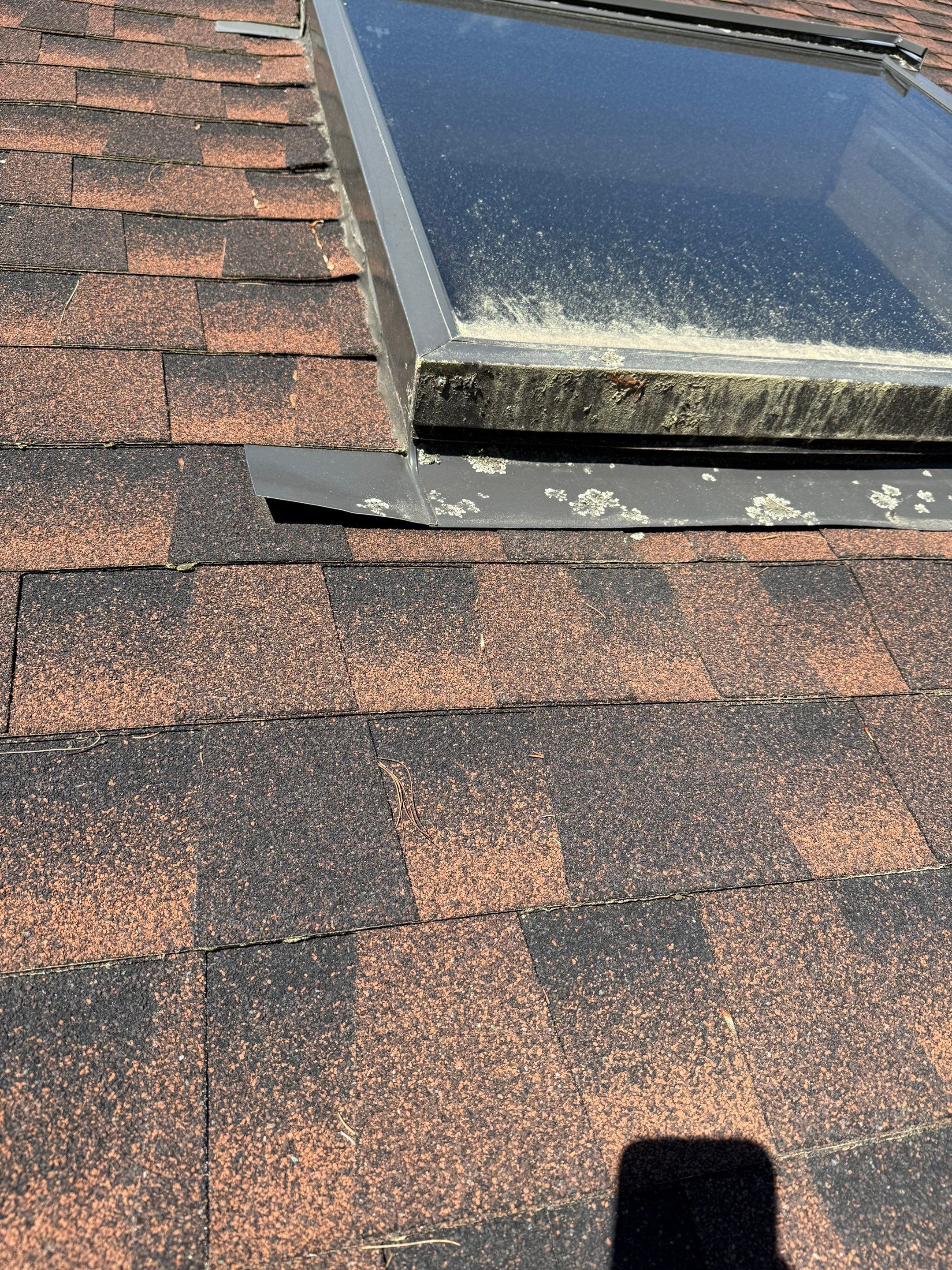 Skylight Replacement & Chimney Repair by Mighty Dog Roofing of Greater Middlesex County
