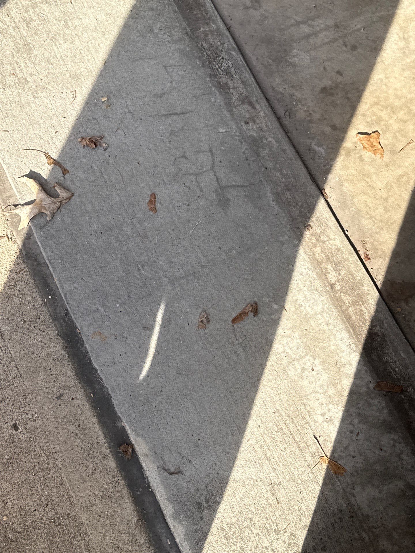 Creekbed Garage Project in Swissvale by Floors in a Day, Inc