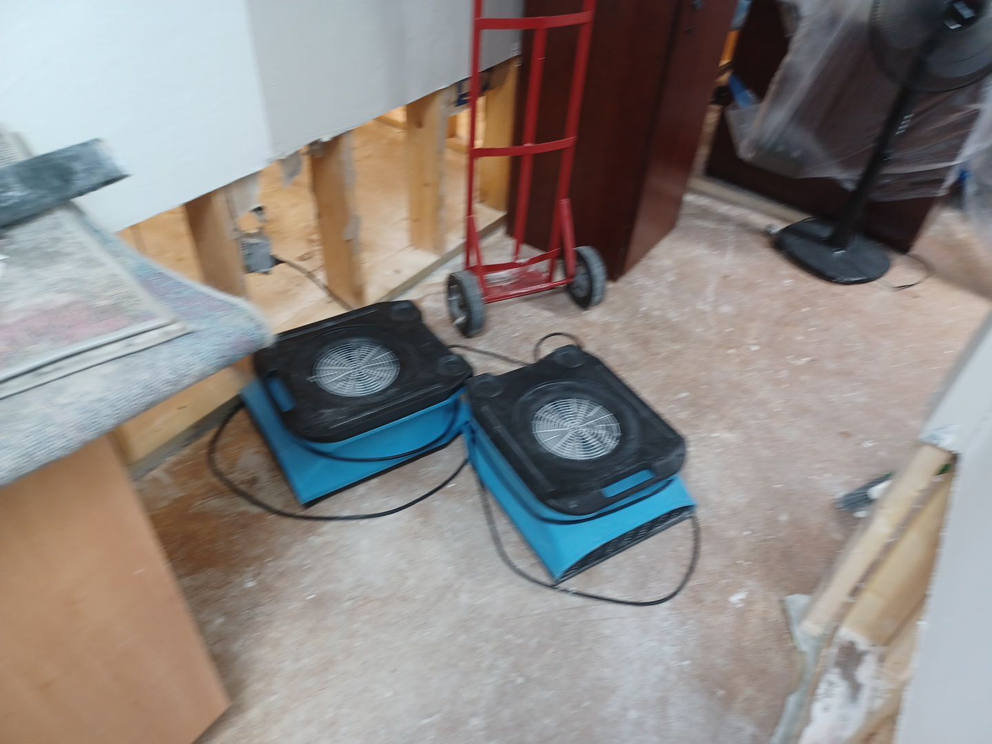 Project in Commerce Twp by EzDry Water Mitigation & Property Restoration