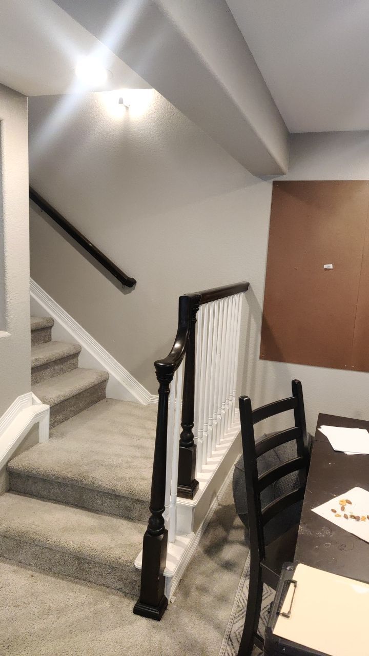 Mold Remediation  by Accountable Home Services