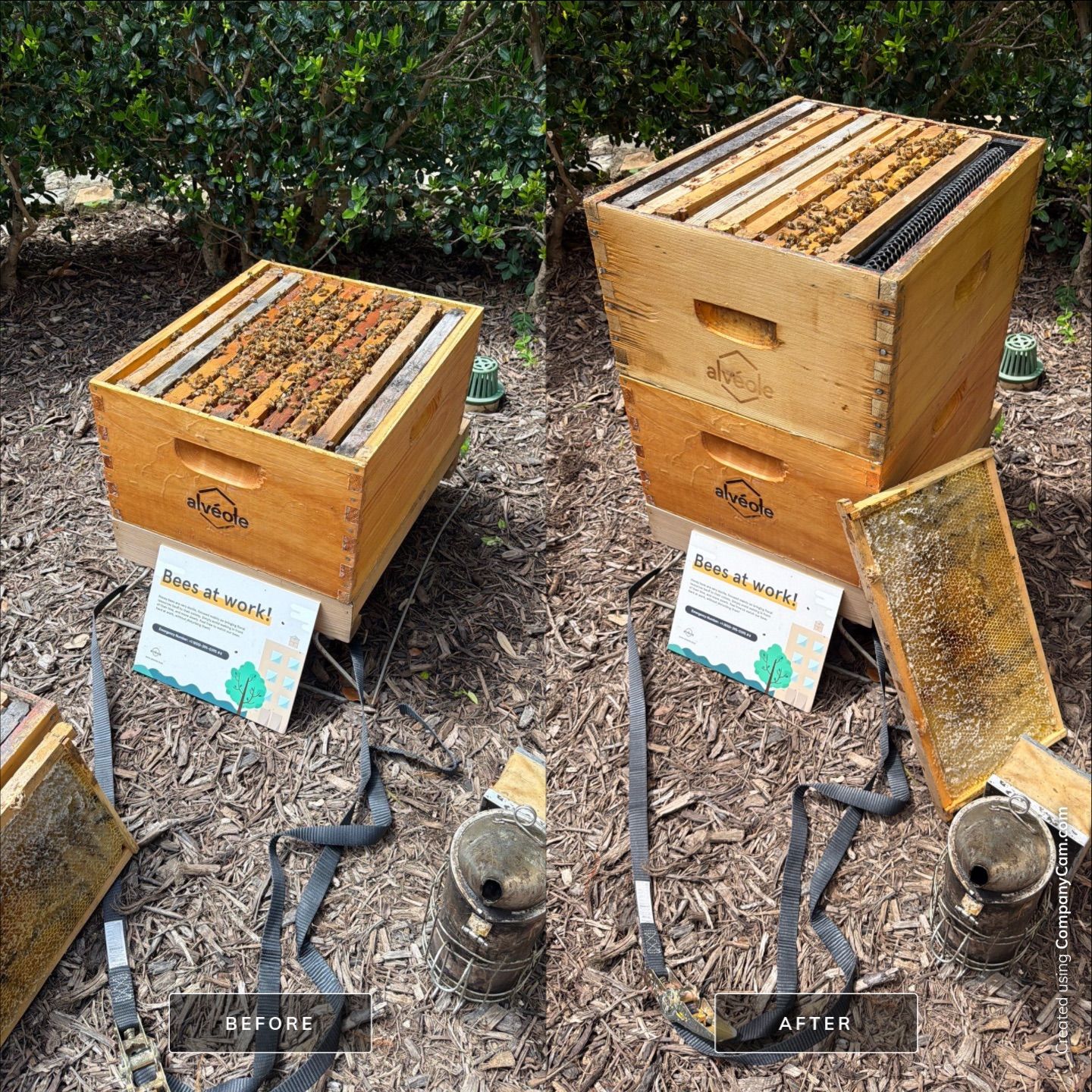 Apartment Retreat for Honey Bees in Garland by Rockwall Honey Bee Company