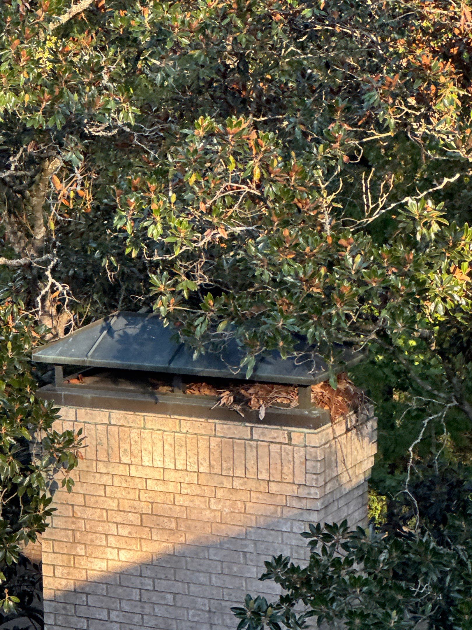 Chyleen Feagin by Tru-Built Roofing