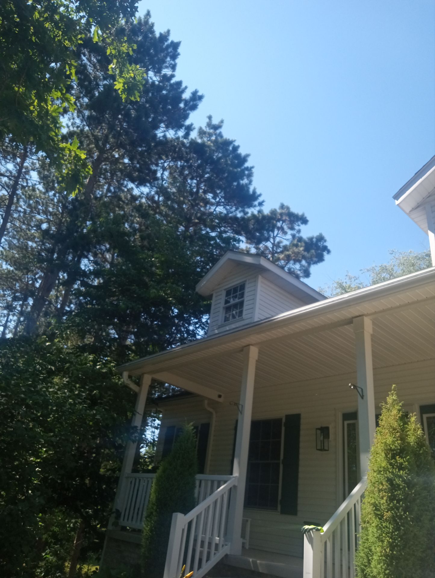 Susan Carrier by Silver Leaf Contracting 