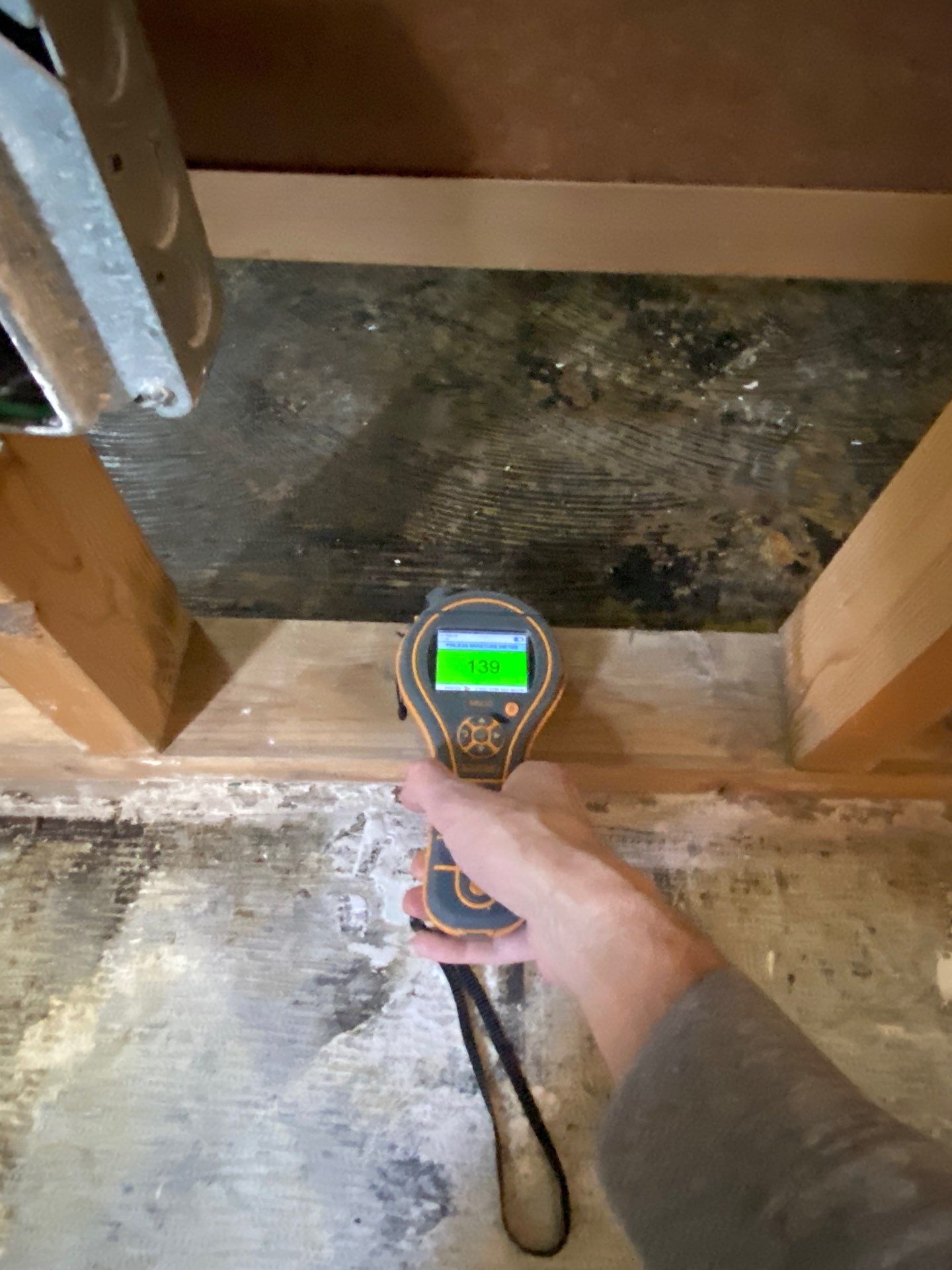 Project in Royal Oak by EzDry Water Mitigation & Property Restoration