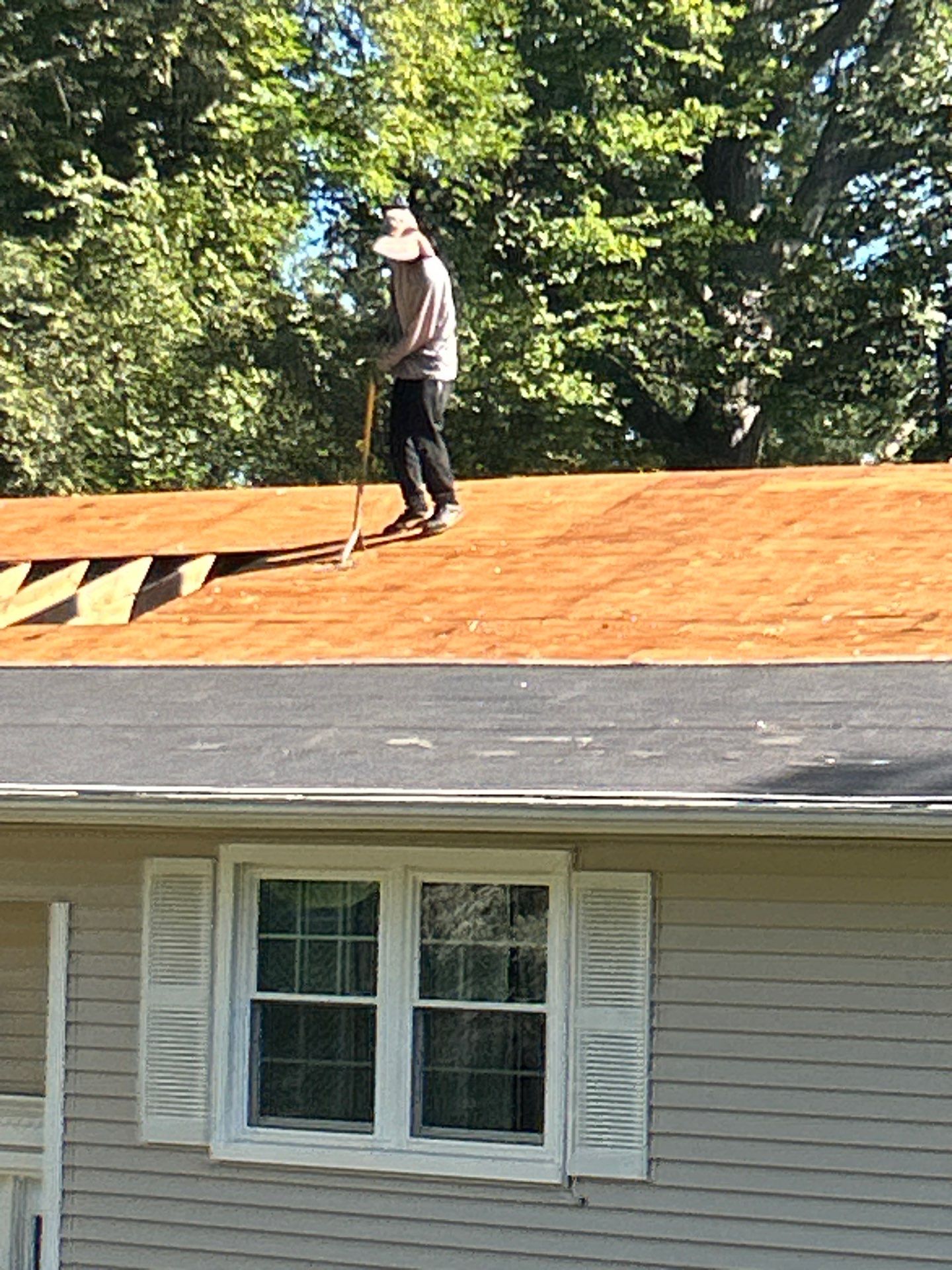 Cheshire by All site builders LLC