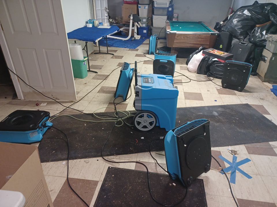 Project in Beverly Hills by EzDry Water Mitigation & Property Restoration