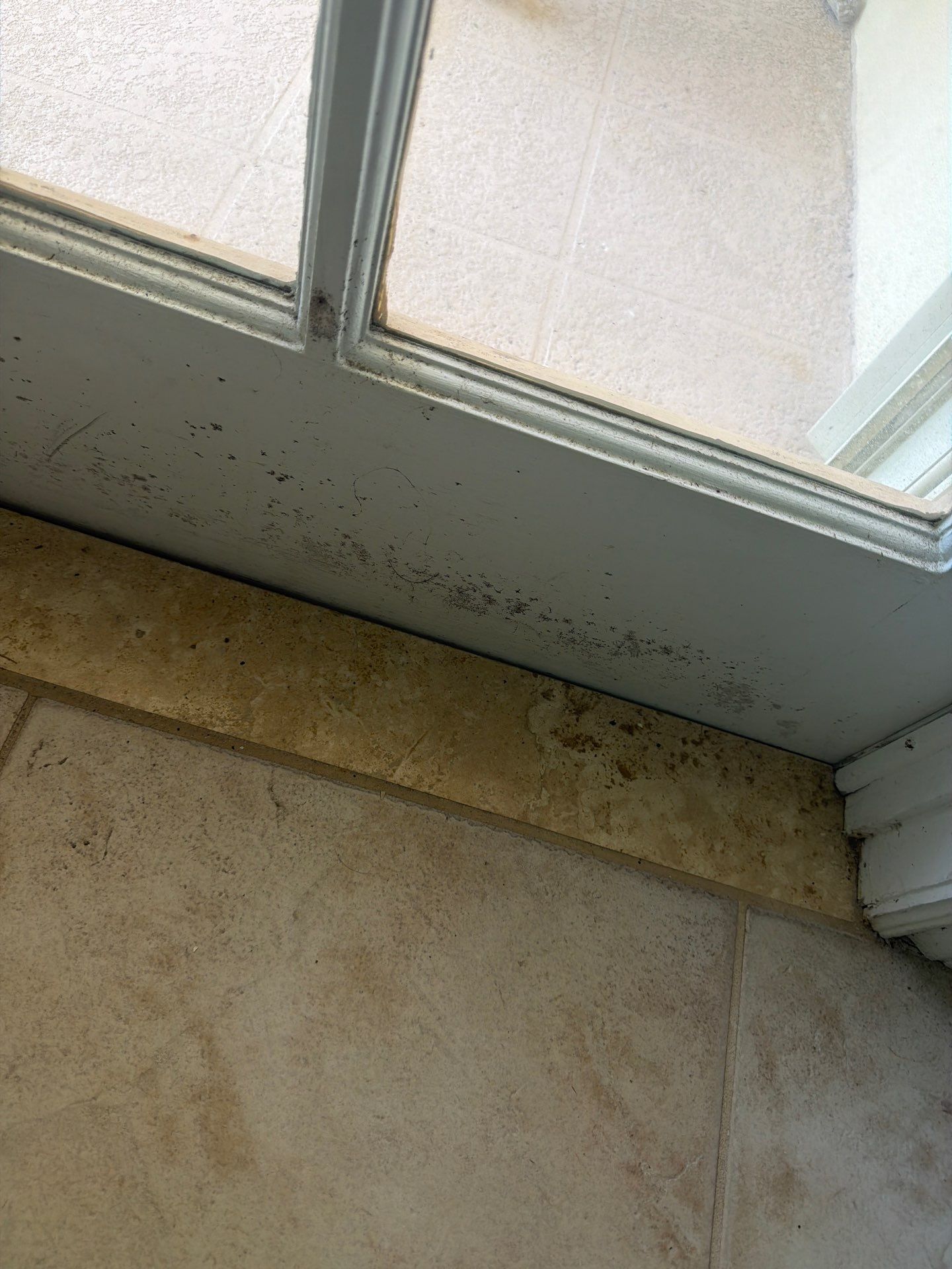 Residential Mold Remediation and Interior Moisture Damage Assessment in Palm Beach by SuperClean
