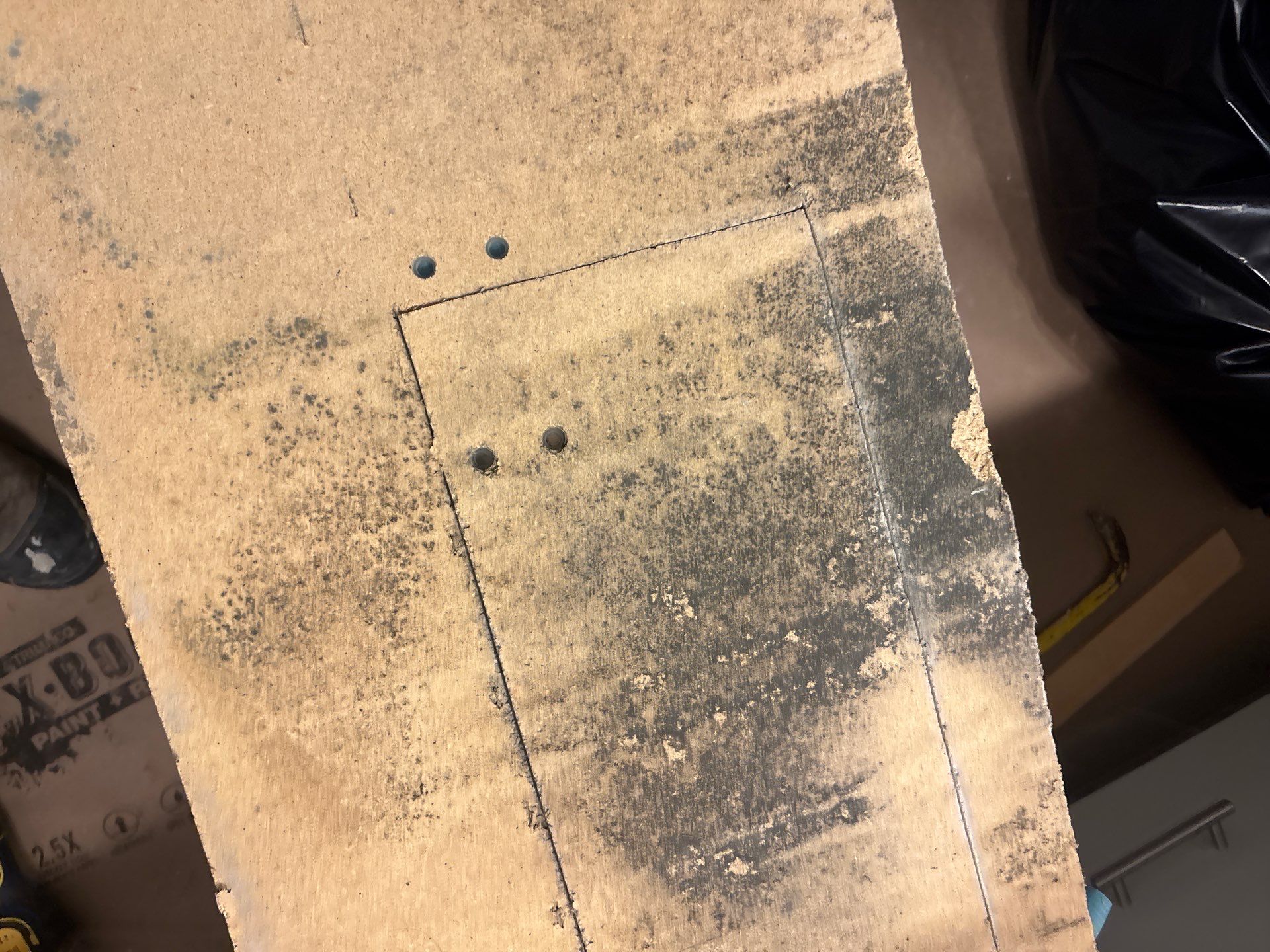 Mold Damage Inspection In Bradenton Florida by Ampm Restoration Services