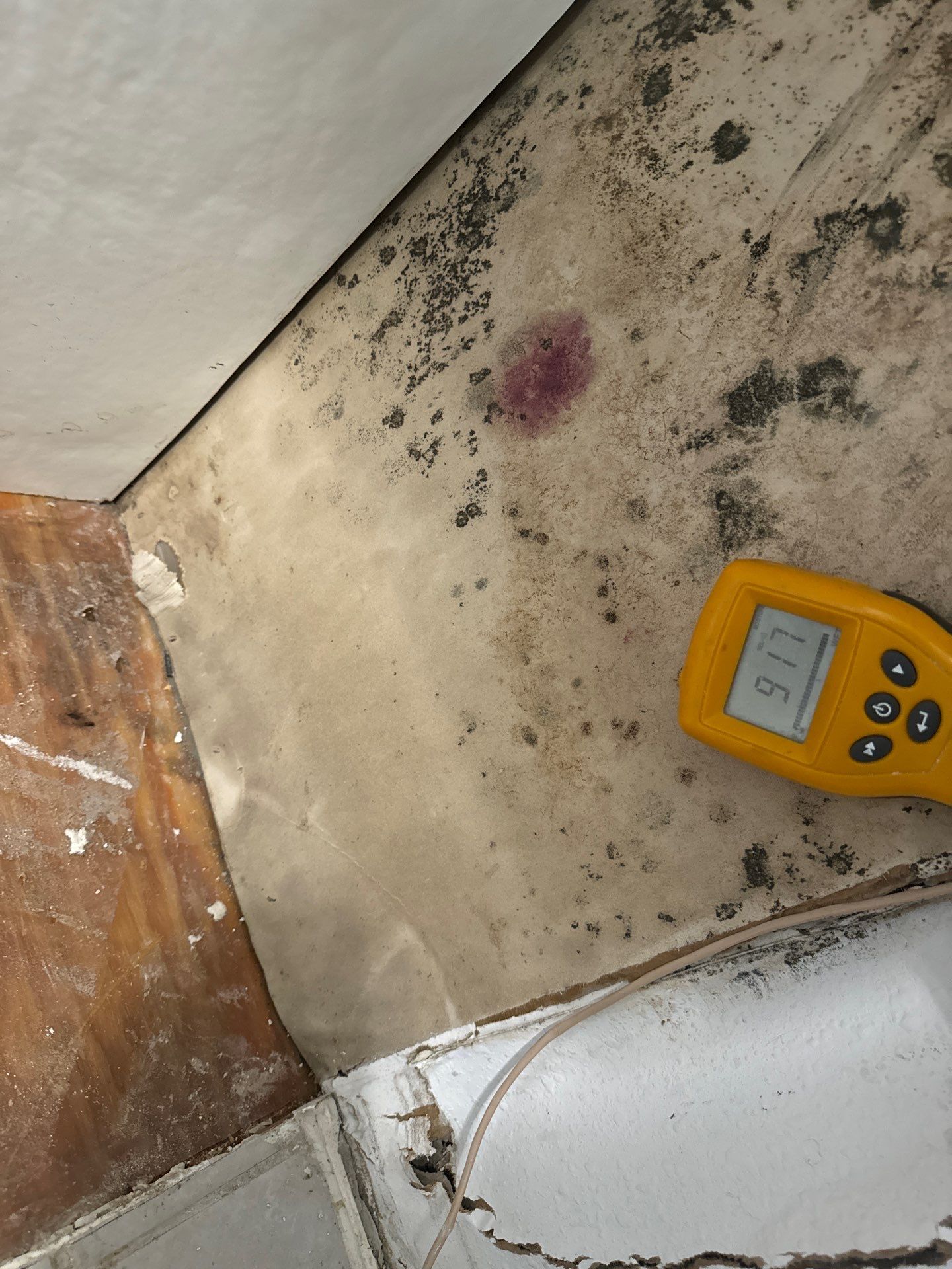 Mold  by SuperClean 