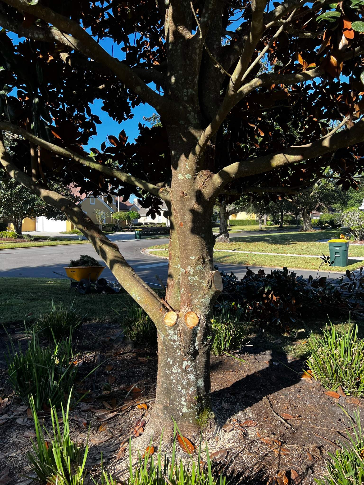 Sod Installation | Deercreek Country Club by ProGreen Services
