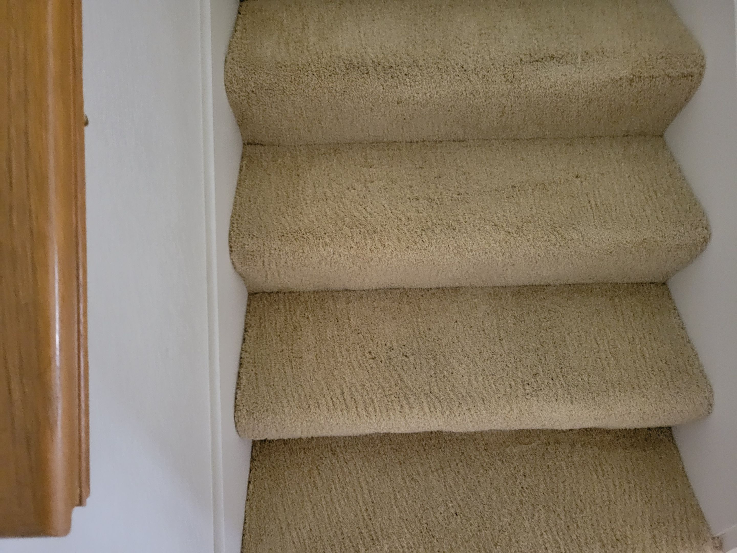 Carpet Re-stretching and Cleaning by Ardent Carpet Restore LLC