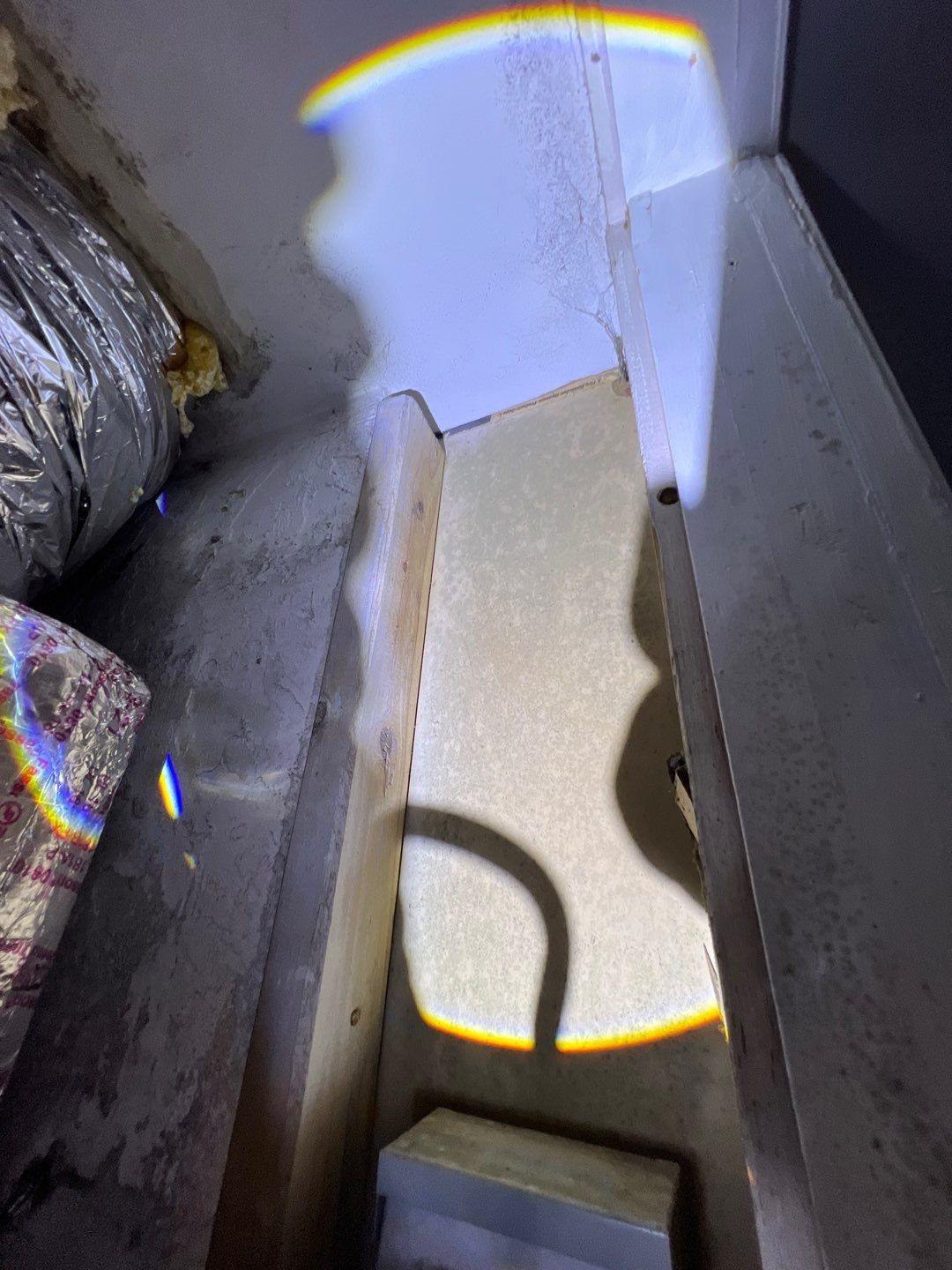 St Petersburg Mold Remediation by Ampm Restoration Services 