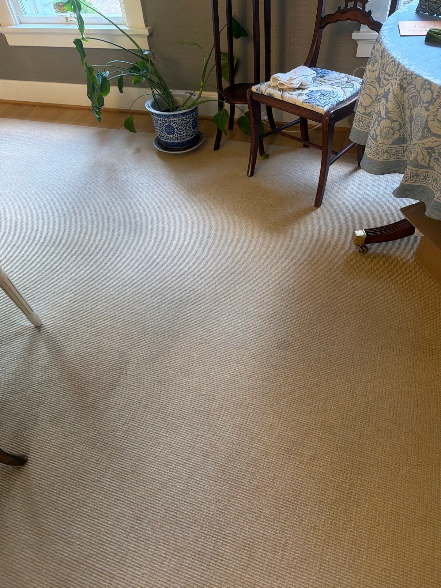 House Cleaning and Maid Service in Dunthorpe Portland by Cloud 9 Professional Cleaning Services