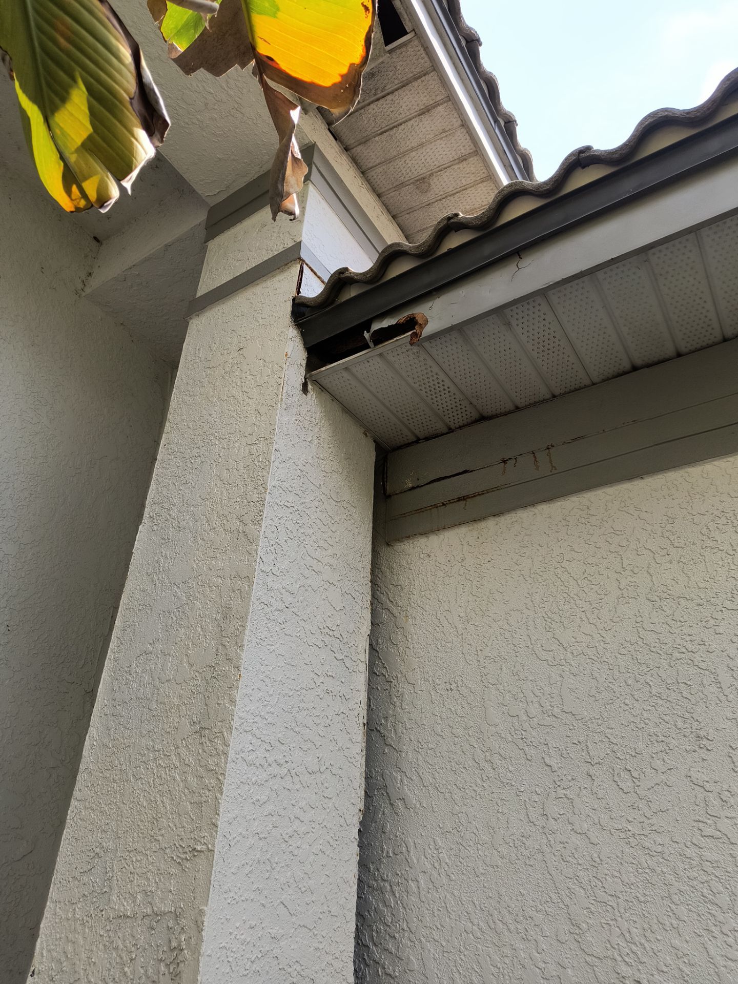 Complete Roofline Upgrade with Soffit, Fascia & Gutters Tampa FL by Gutter Professors