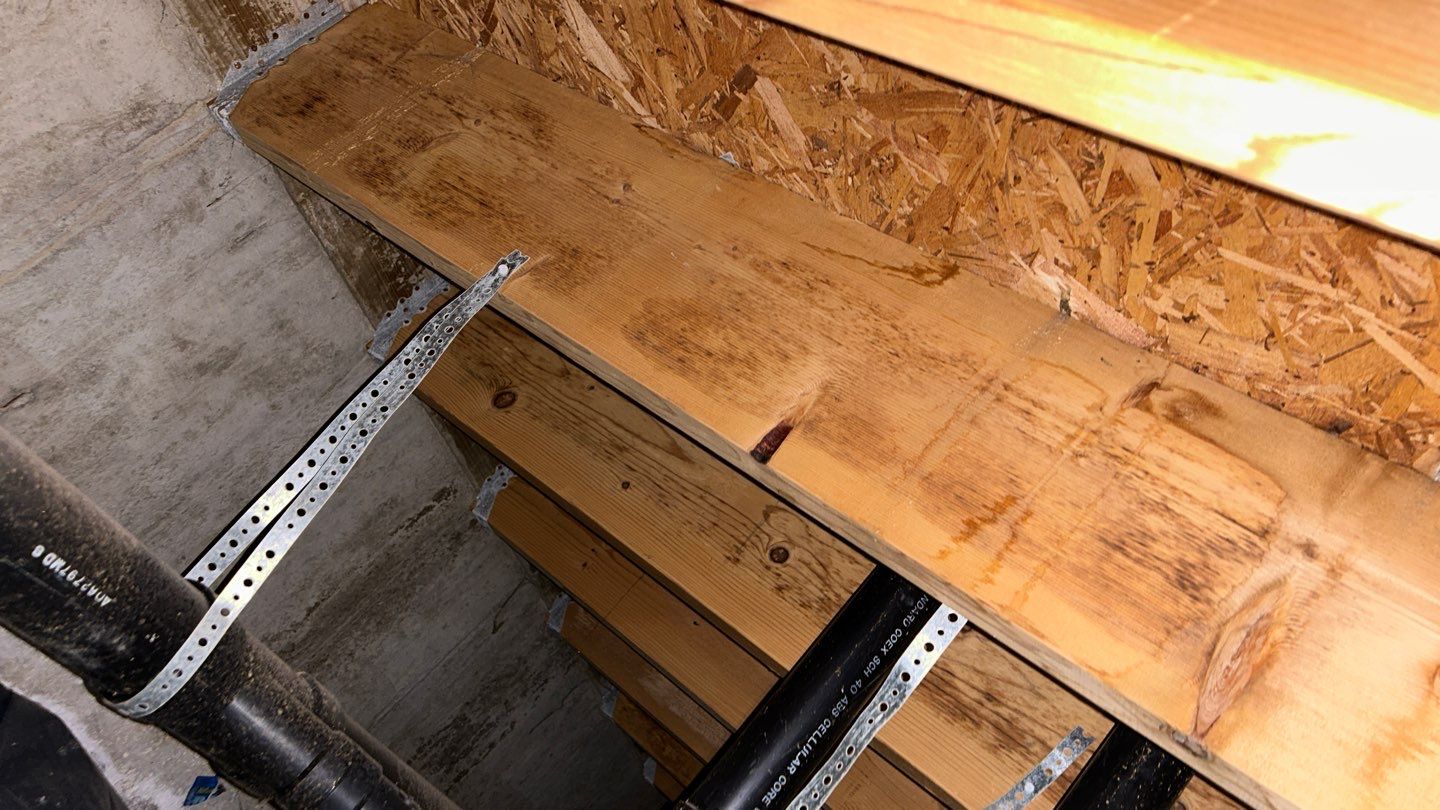 Mold Damage by Accountable Home Services