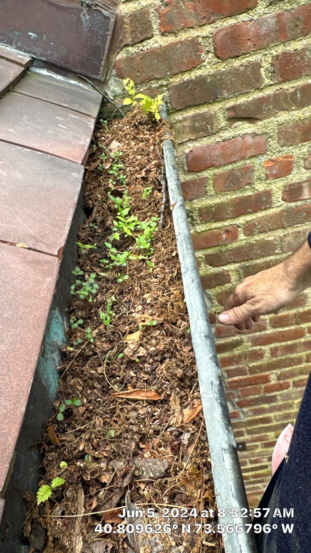 Gutter Cleaning Brookville by Above All Gutters 