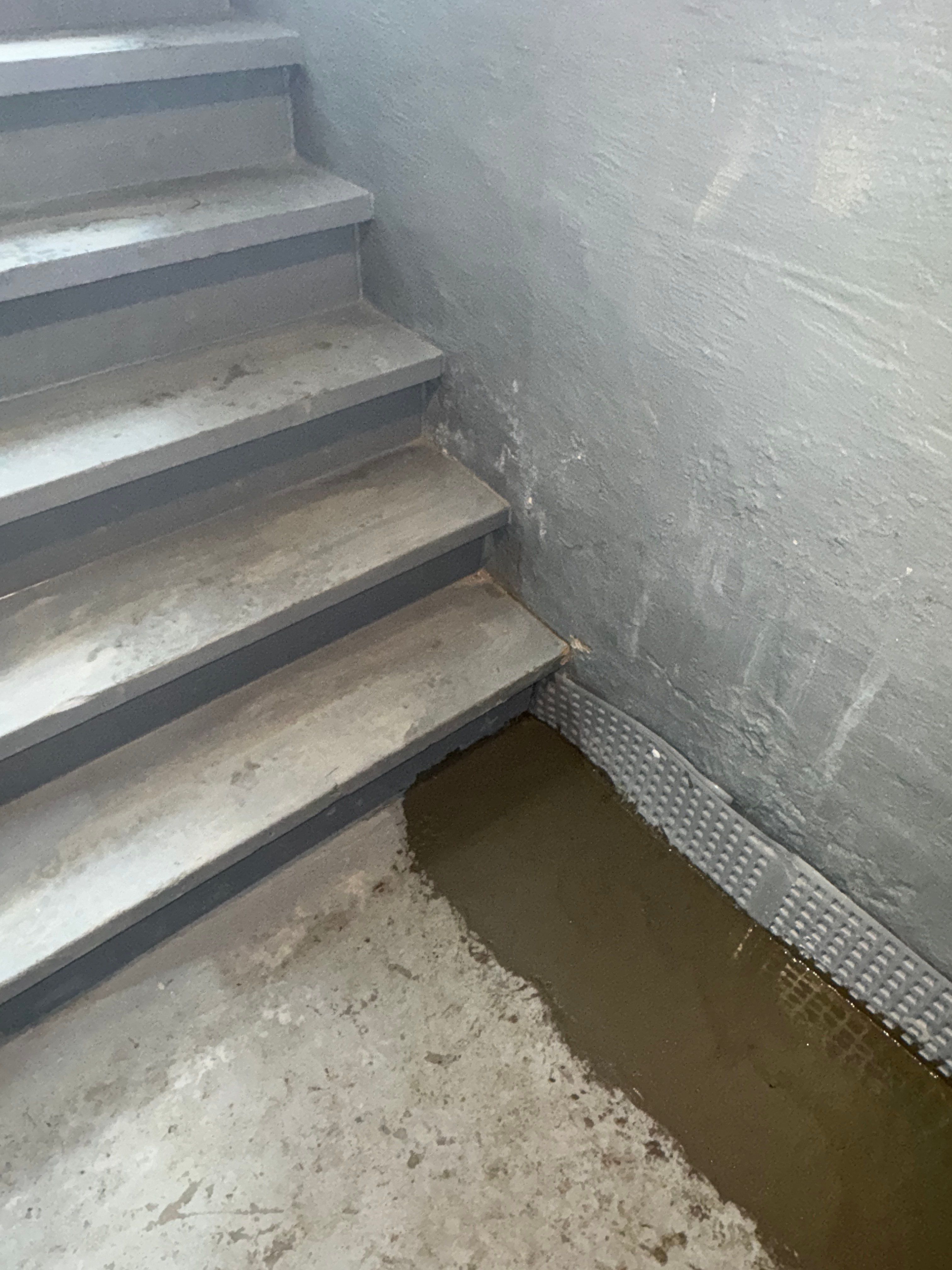 Interior French Drain River Edge NJ by Pure Service Pro, LLC 