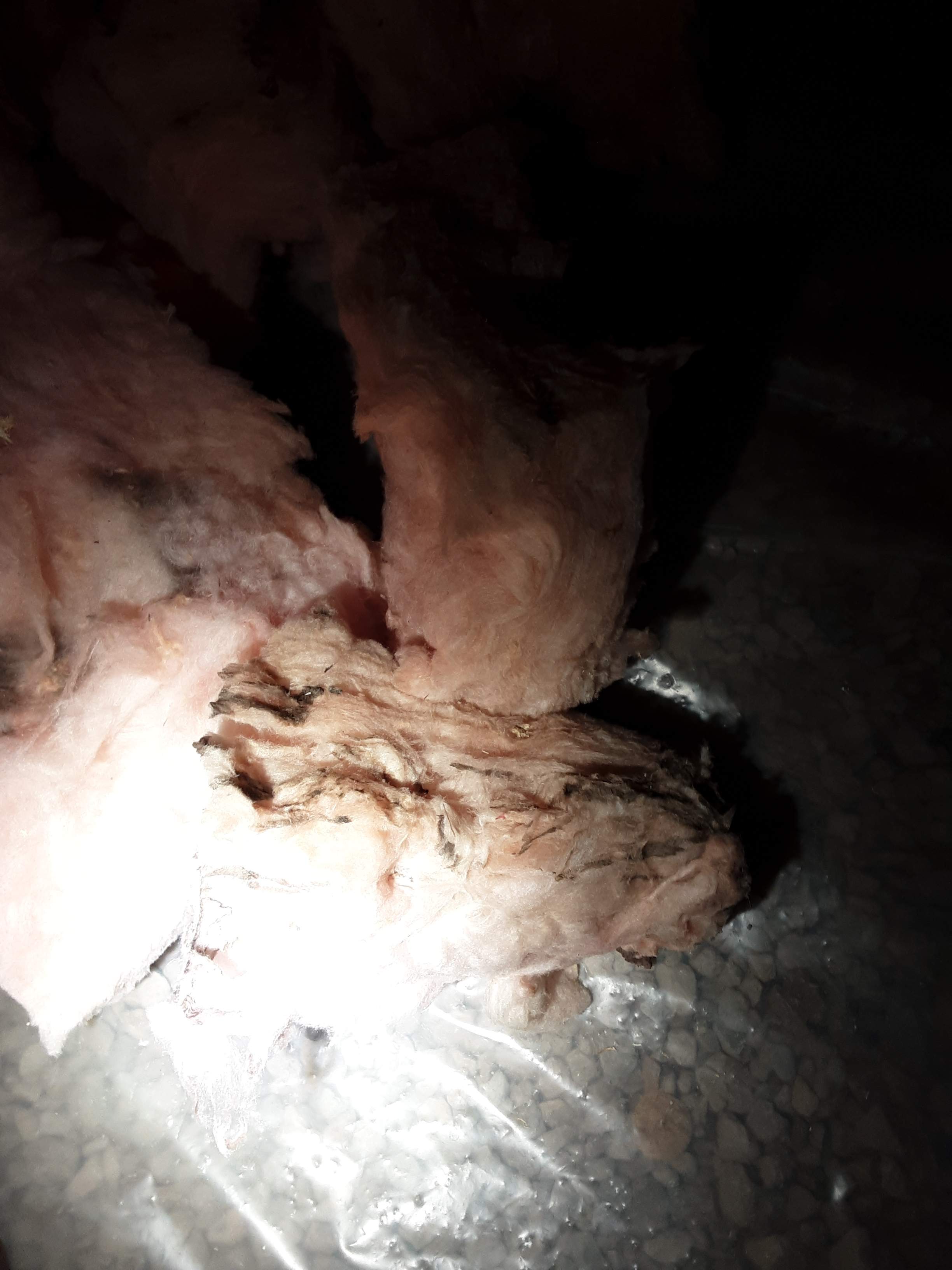 Interior water damage inspection by ASAP Roofing & Exteriors