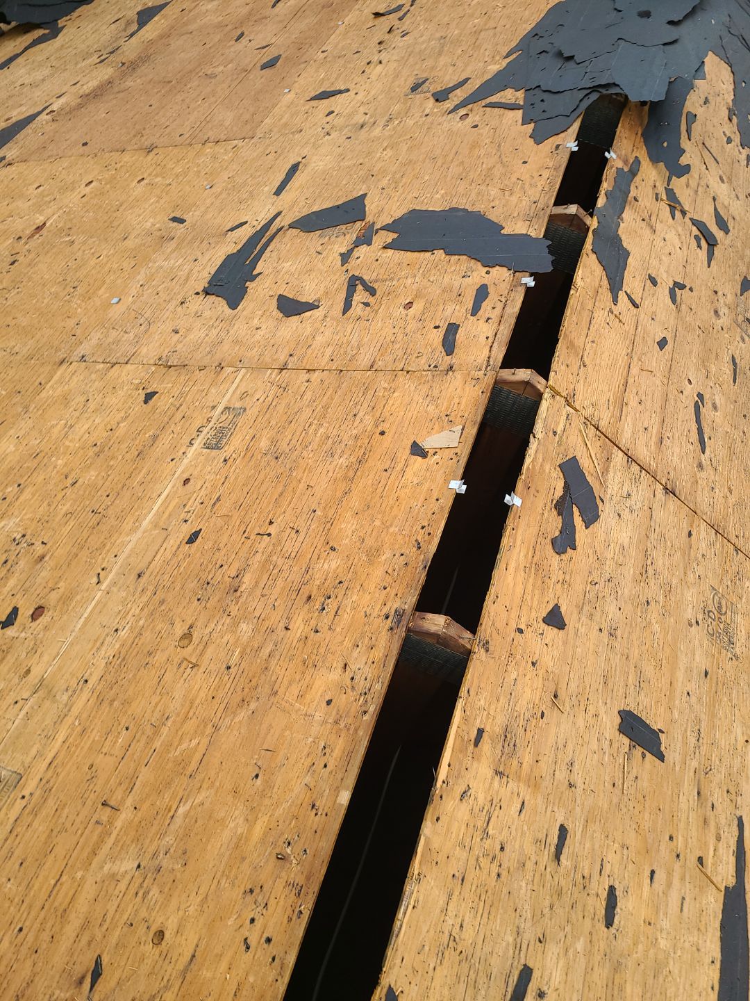 Springfield: Residential Roof Replacement with CertainTeed Landmark Pro in Max Def Red Oak by RM Banning, Inc.