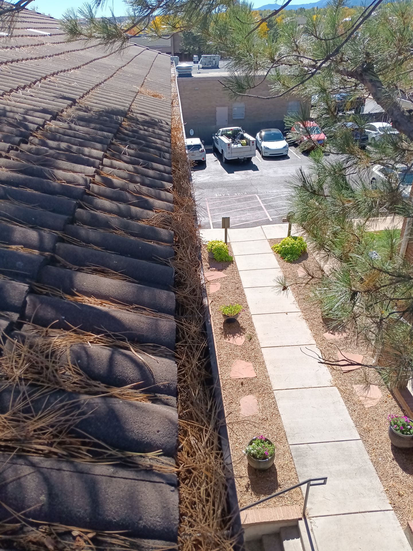 Commercial gutter cleaning Georgia before photo with filled gutters