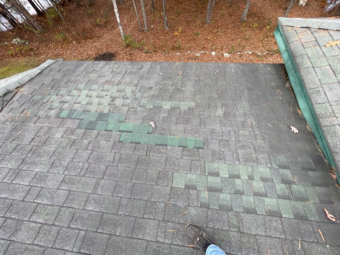  "Leak-Free Living: Expert Shingle Repairs for Lasting Protection!"  by Sensible Home Solutions