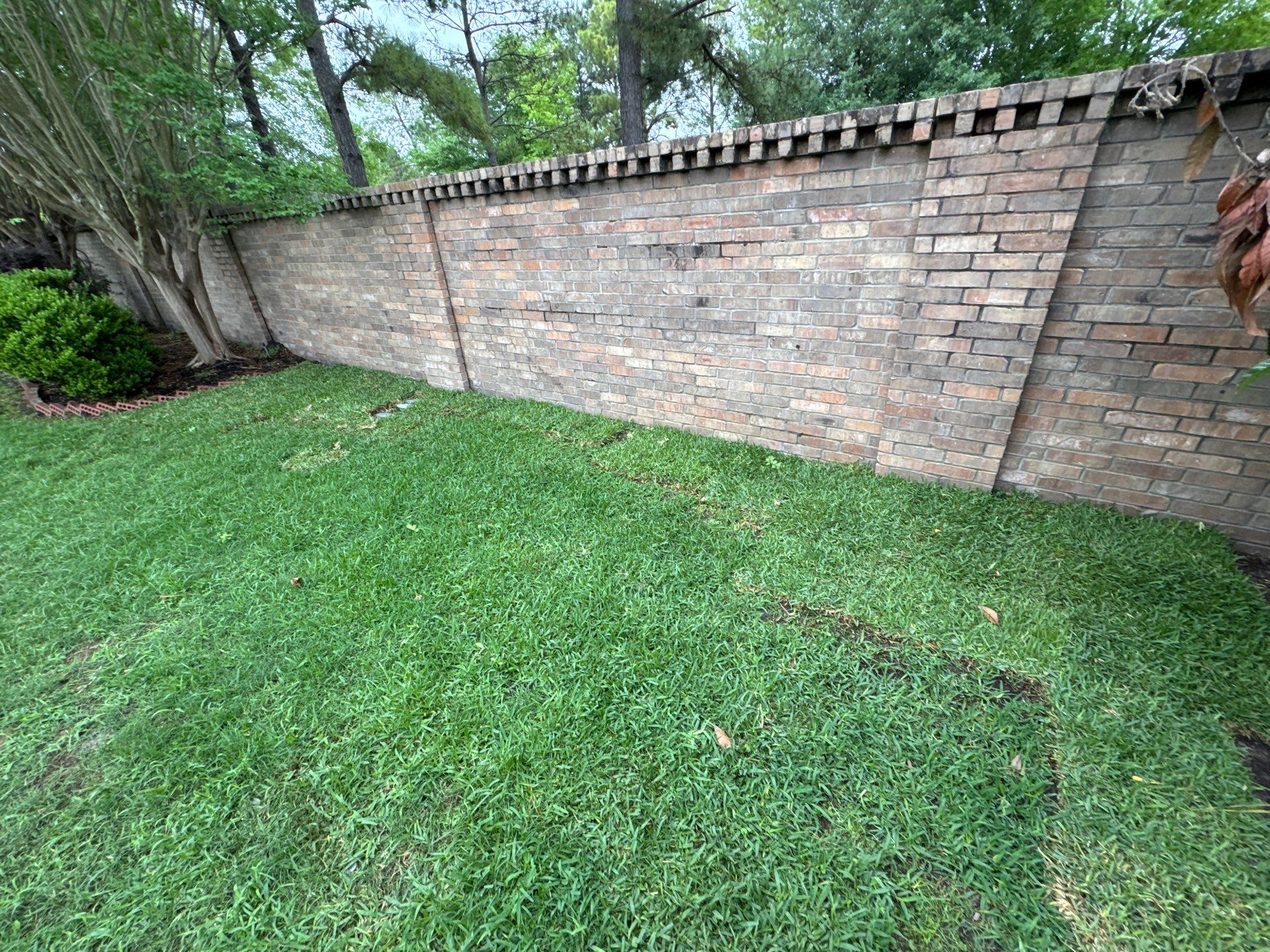🌿 Mrs. Coleman’s Lawn & Drainage Restoration by Texas Urban Elements