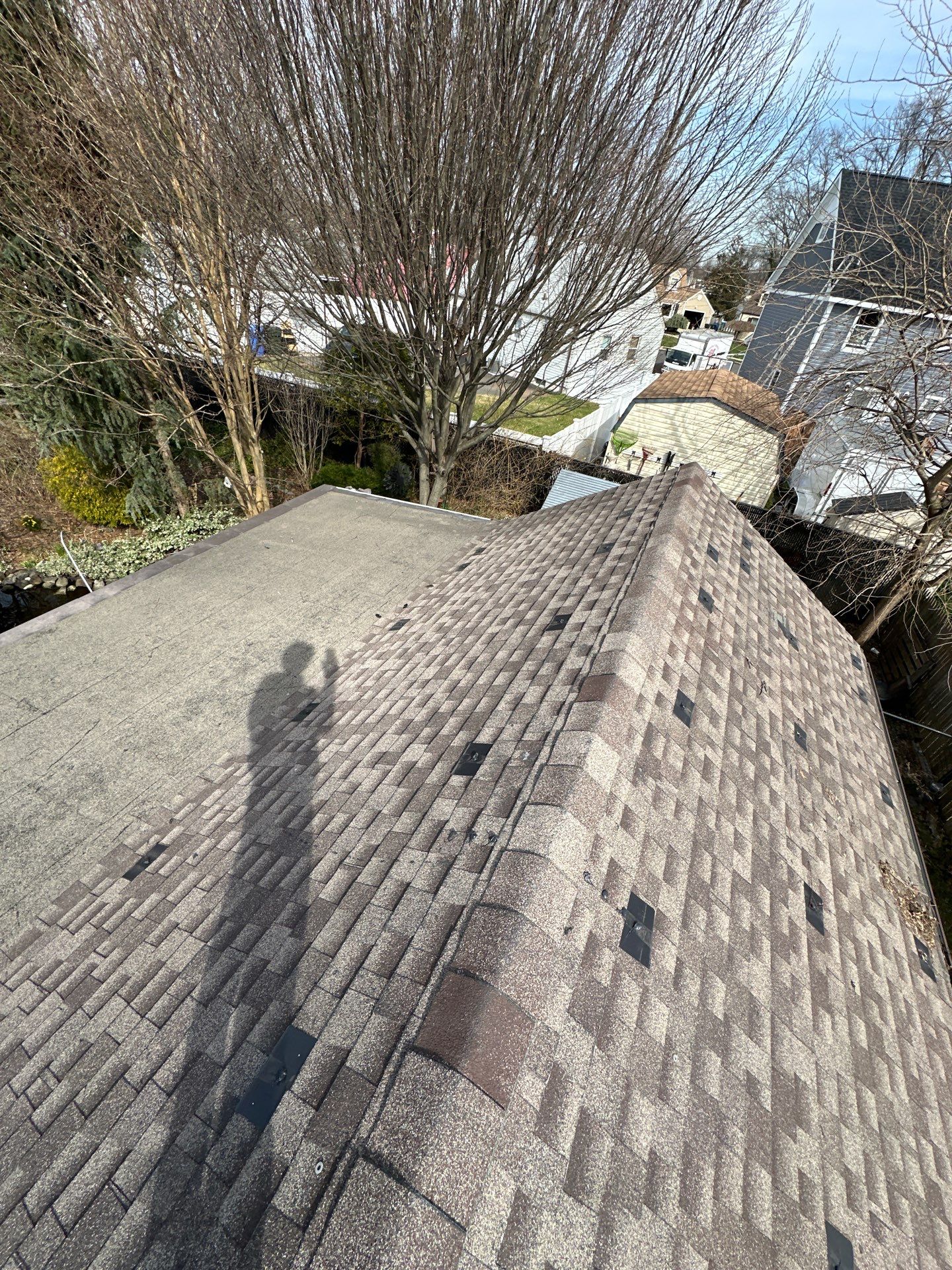 Desert Tan Shingles by Reimagine Roofing