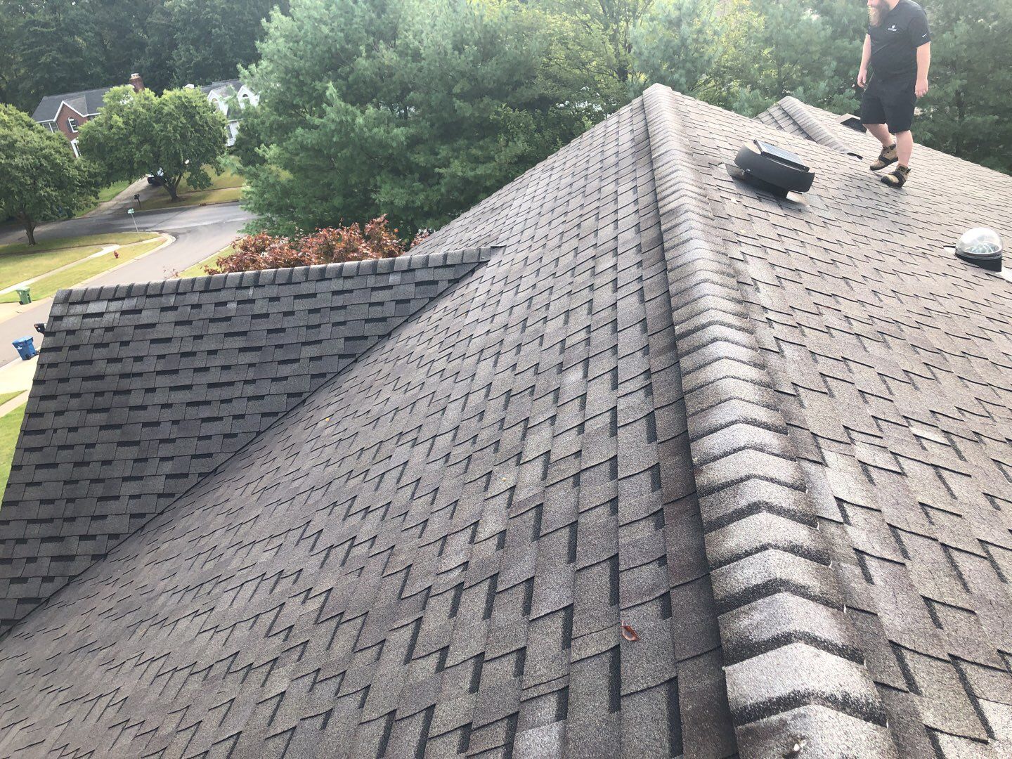 Ed Sebak by Silver Leaf Contracting 