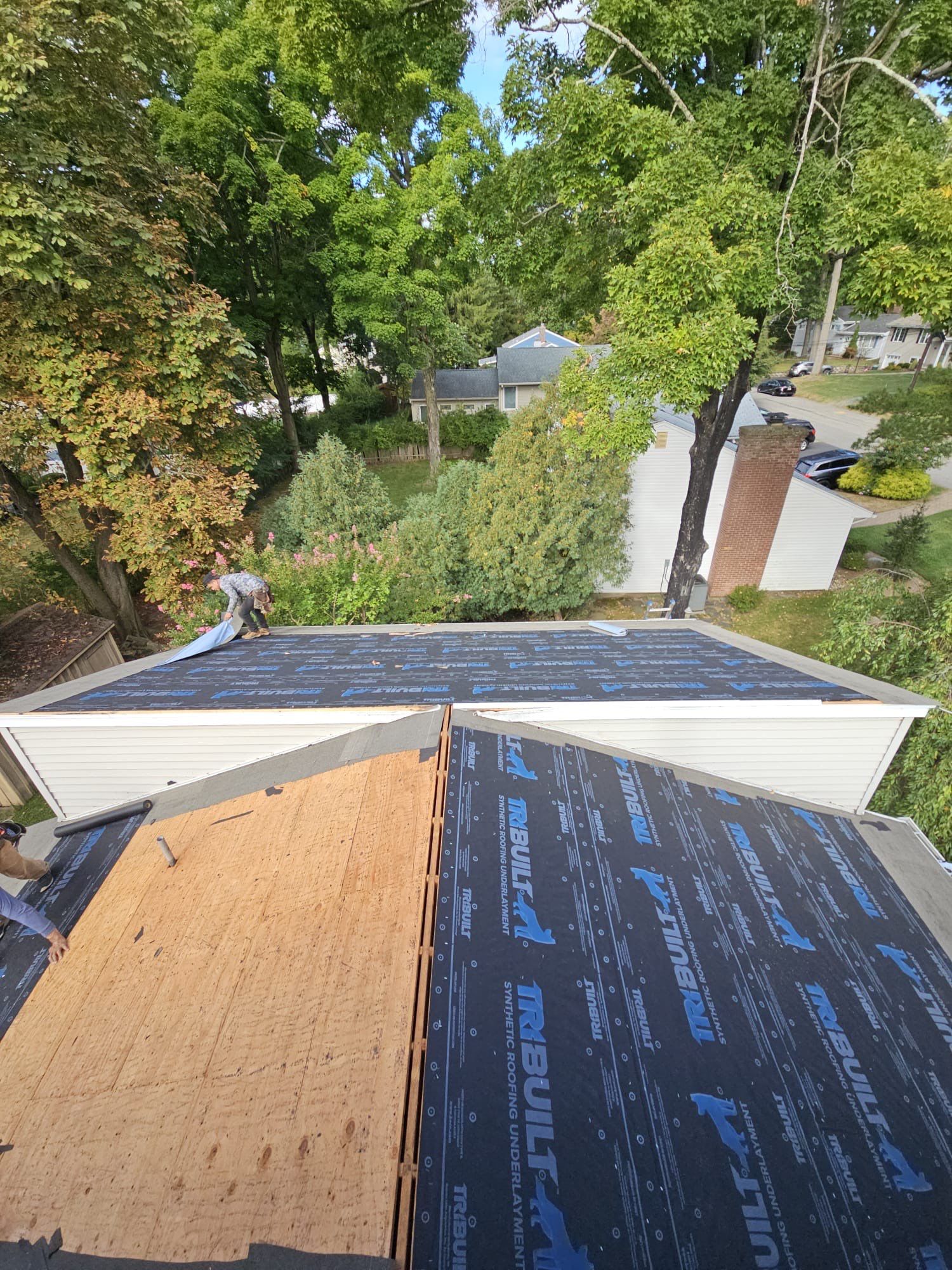 Shakewood Shingles by Reimagine Roofing