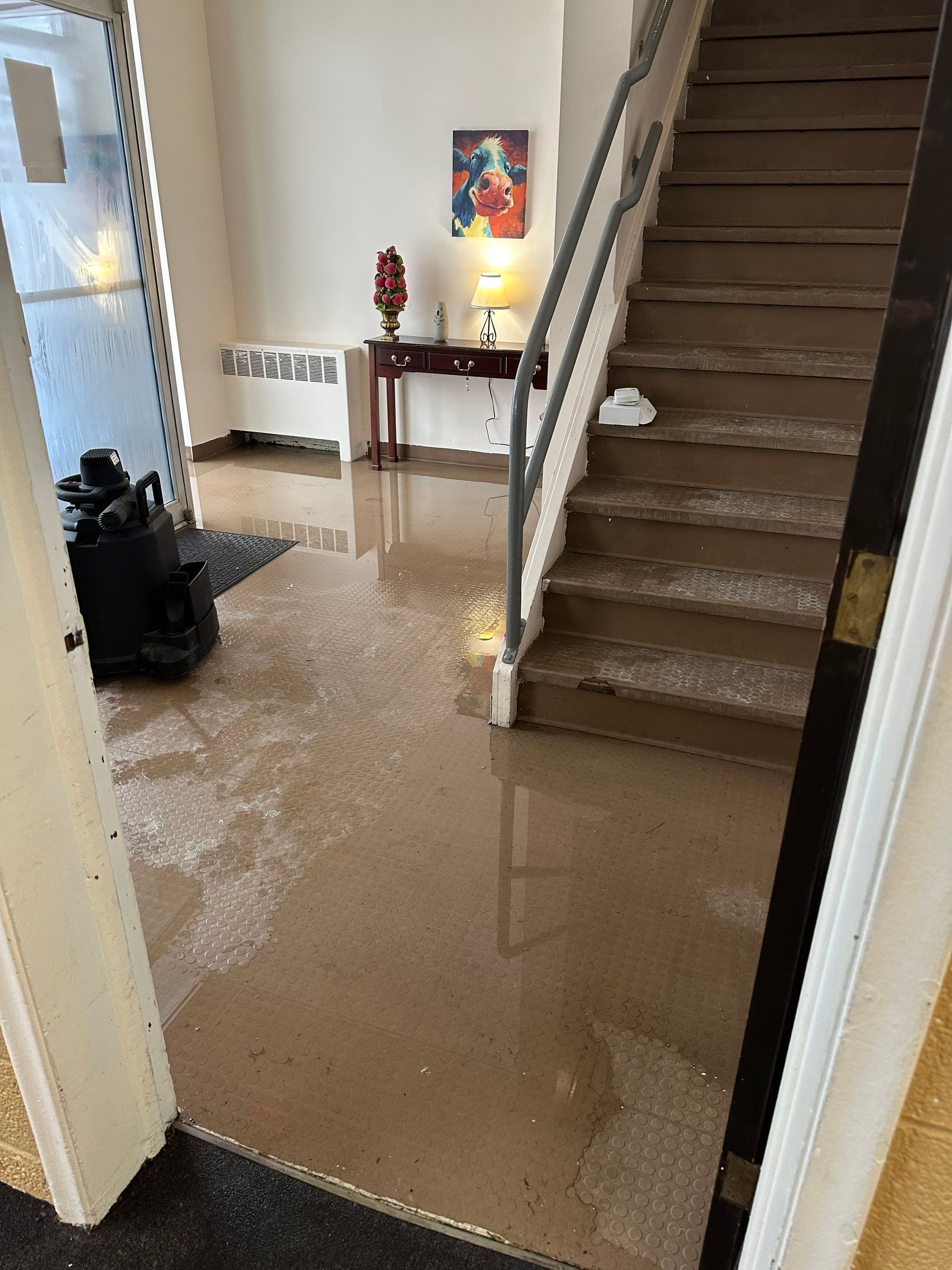 Project in Oak Park by EzDry Water Mitigation & Property Restoration