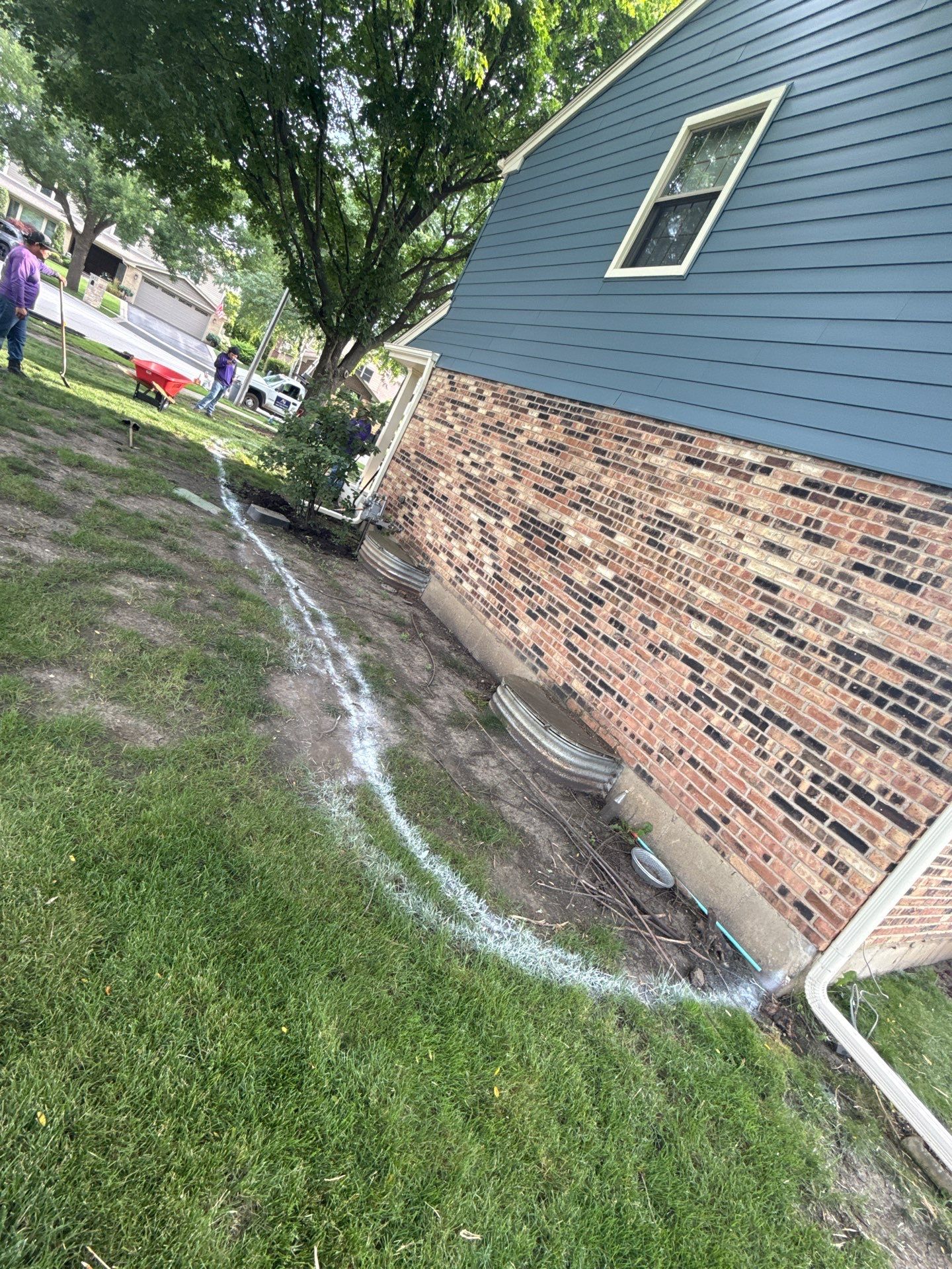 Alicia S. - Arlington Heights, IL by A&N