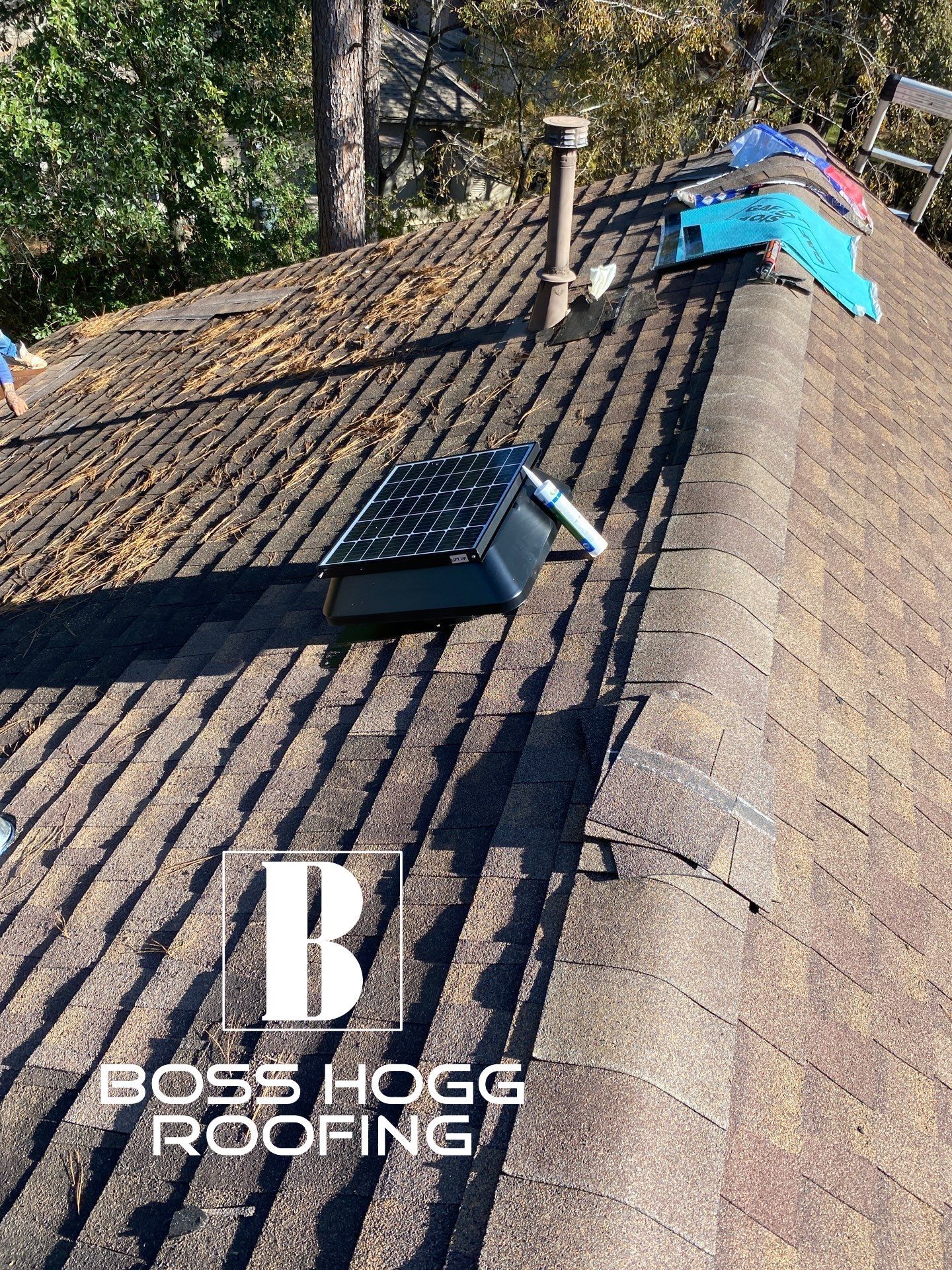DAVID C by Boss Hogg Roofing