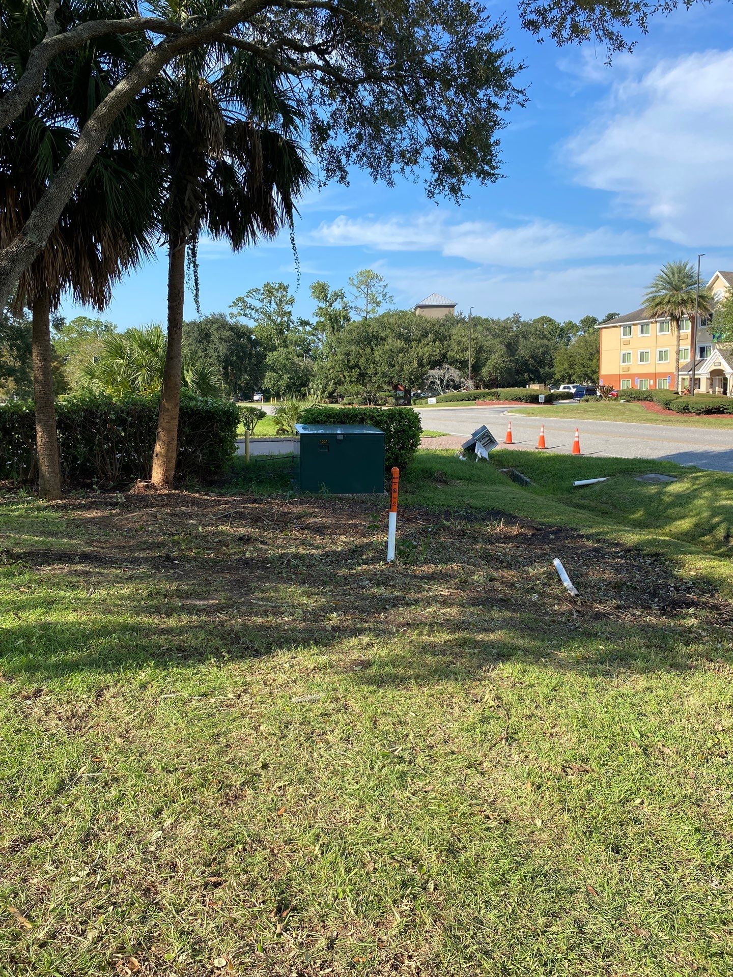 Tree & Shrub Removal | Marriott Hotel by ProGreen Services