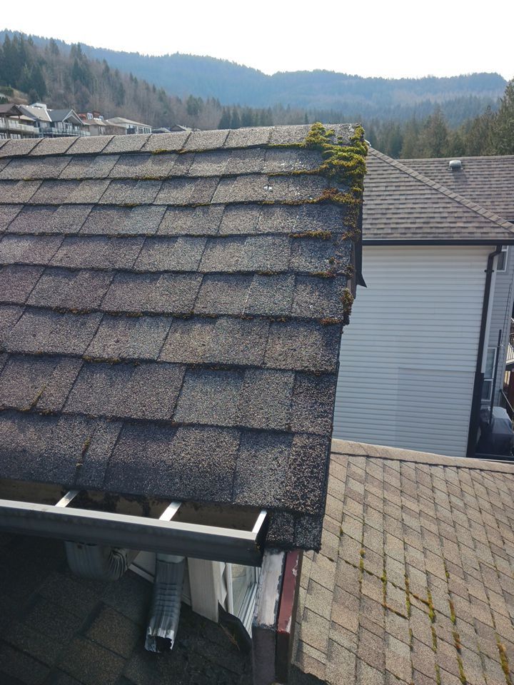 Residential Roofing Installation using OC Oakridge shingles by Top Notch Roofing Inc