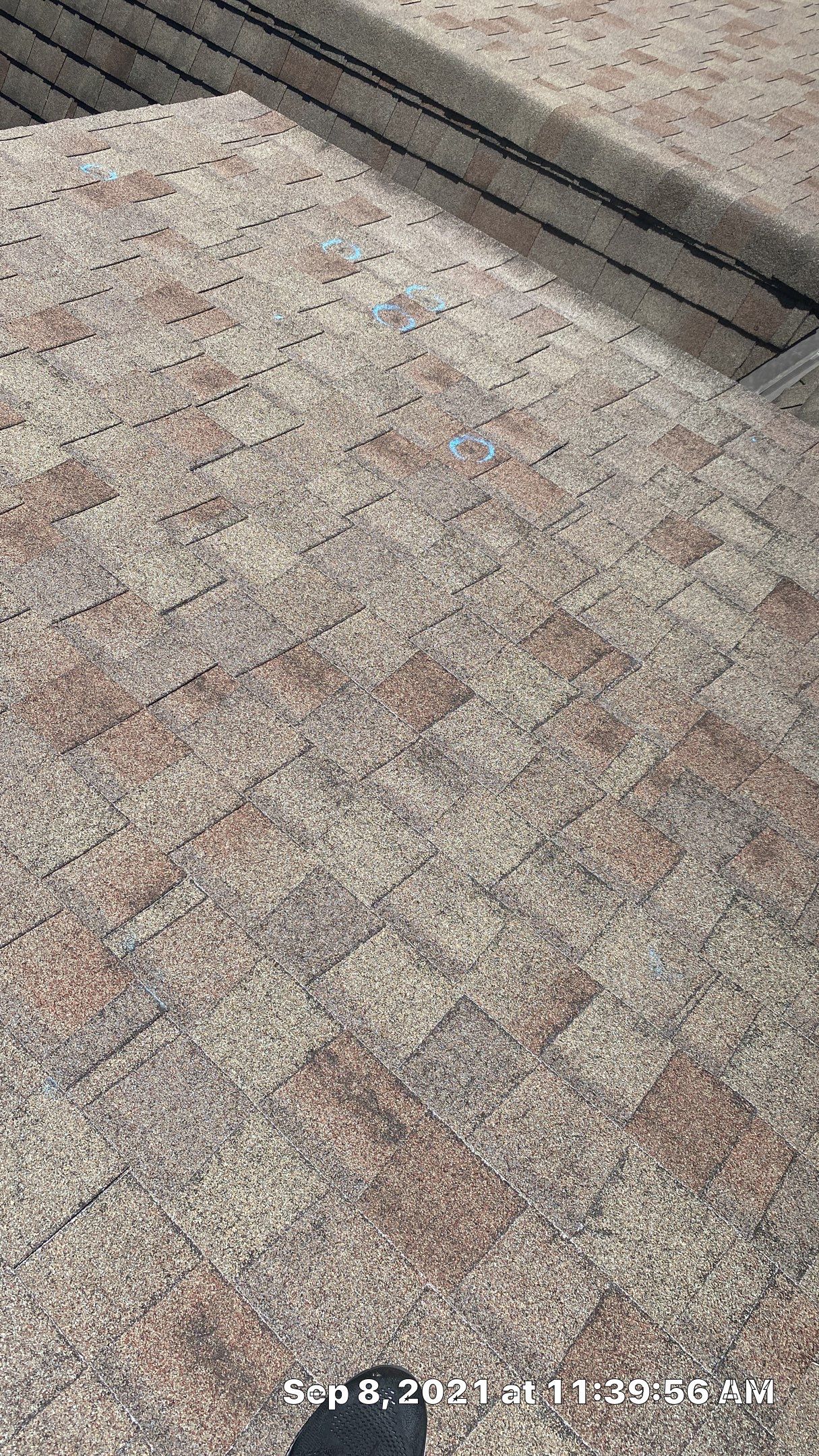 Roof Replacement using Malarkey Highlander Storm Grey by Gorilla Exteriors Contracting, LLC