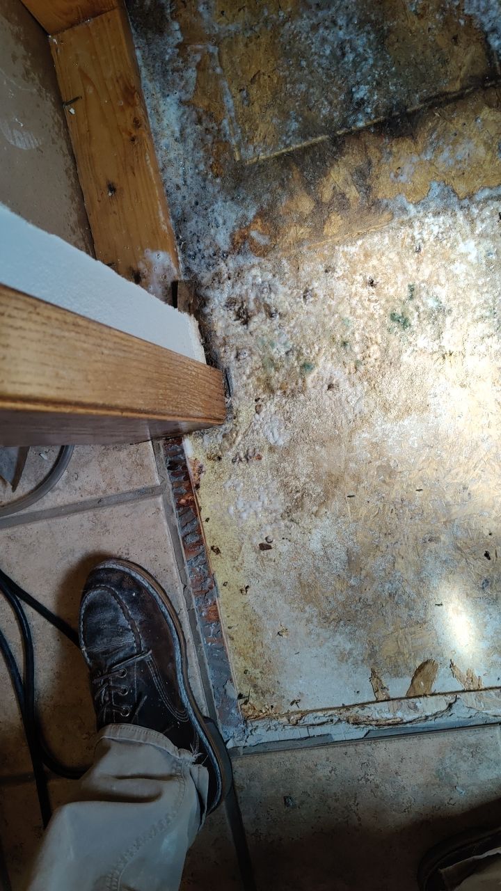 Water Damage and Mold Remediation by Accountable Home Services