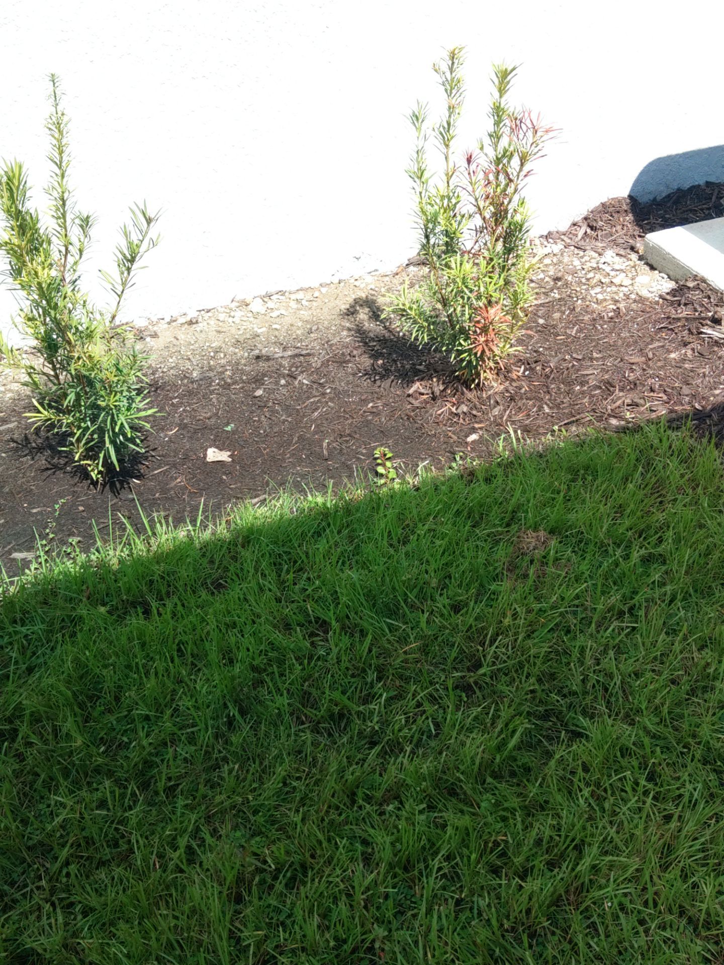 White Seamless Gutters for Beachfront Homes  by Gutter Professors