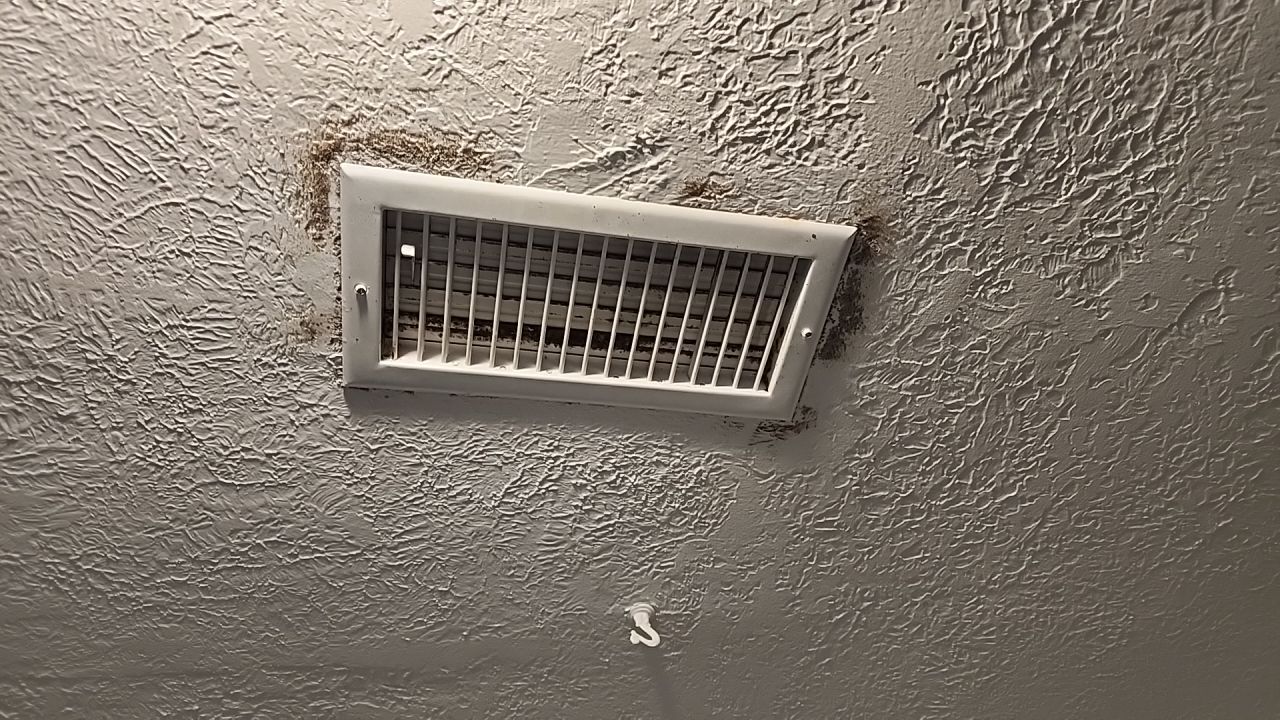 Suspect Mold growth in HVAC System by Building performance Solutions LLC